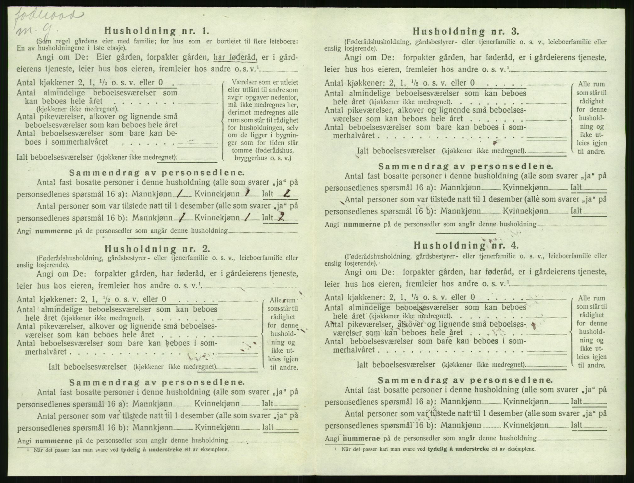 SAT, 1920 census for Volda, 1920, p. 1243