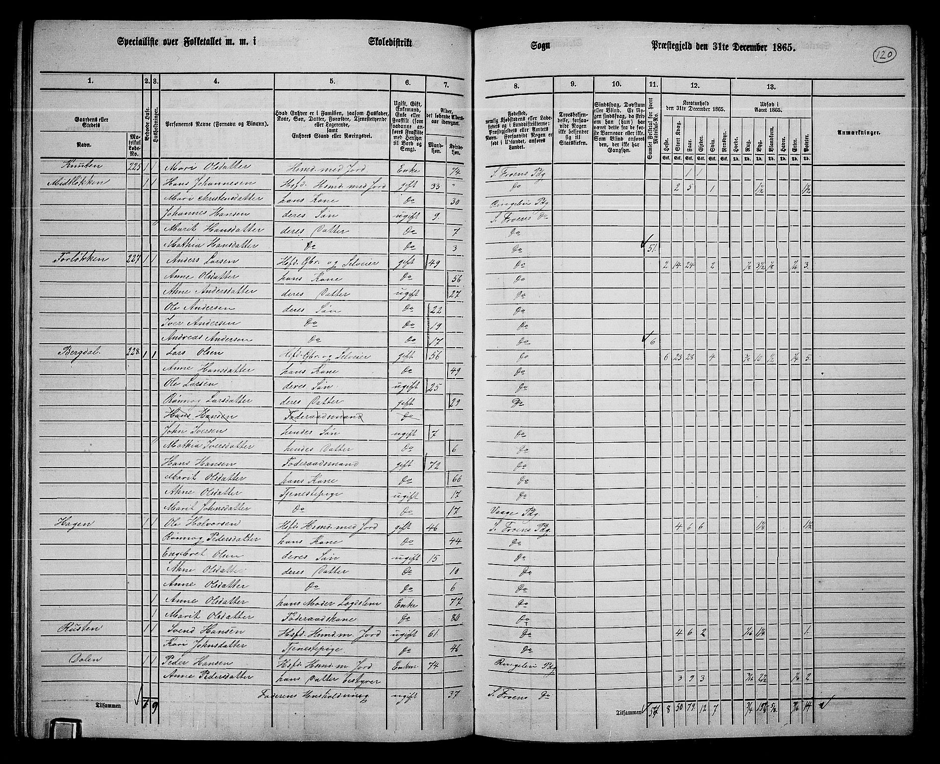 RA, 1865 census for Sør-Fron, 1865, p. 95