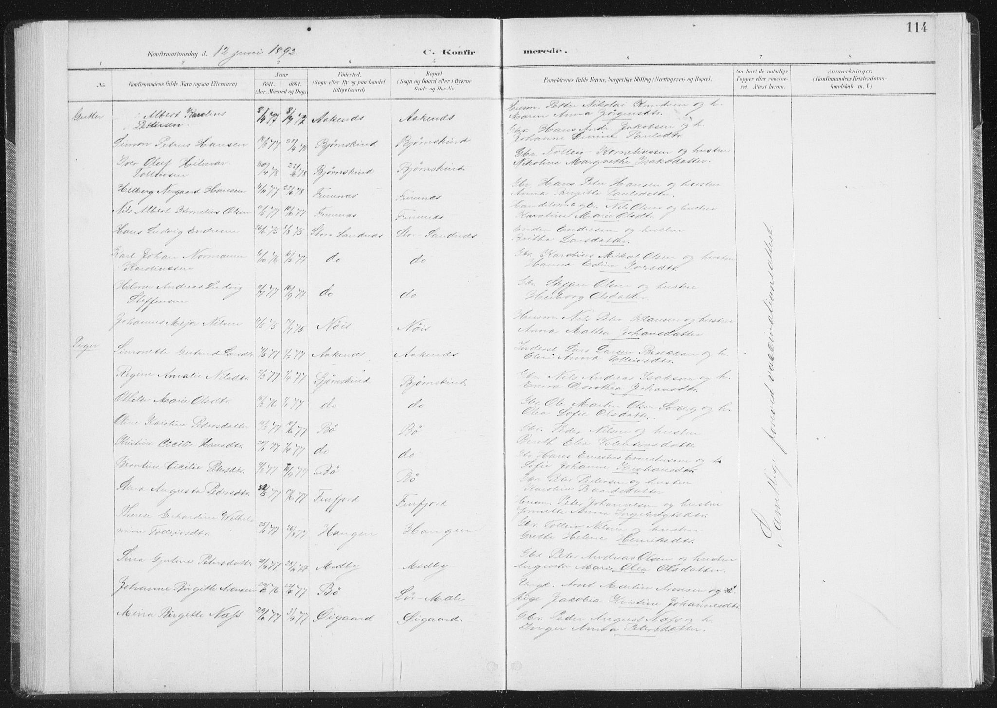 Ministerialprotokoller, klokkerbøker og fødselsregistre - Nordland, AV/SAT-A-1459/898/L1422: Parish register (official) no. 898A02, 1887-1908, p. 114