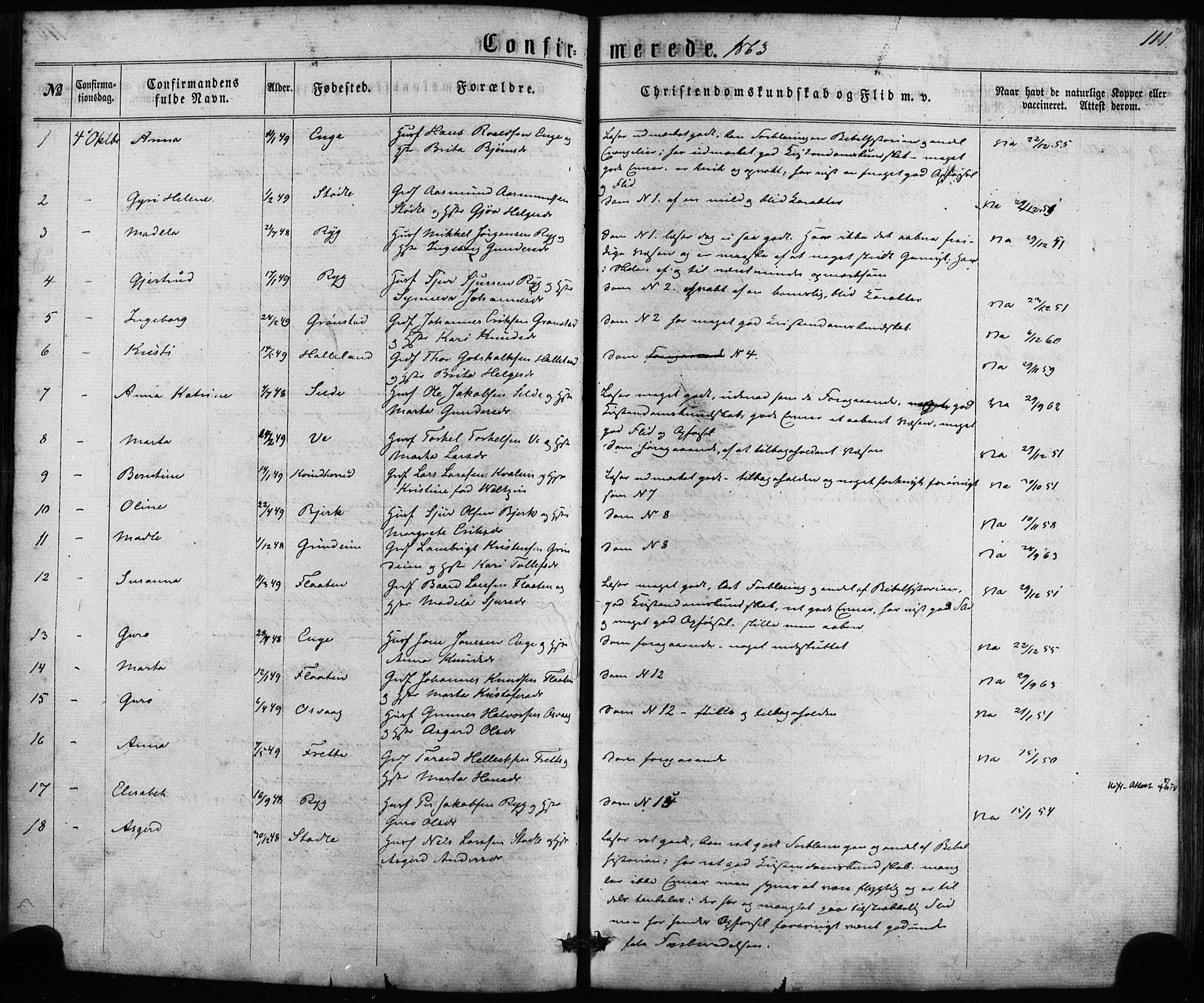Etne sokneprestembete, AV/SAB-A-75001/H/Haa: Parish register (official) no. A 9, 1862-1878, p. 111