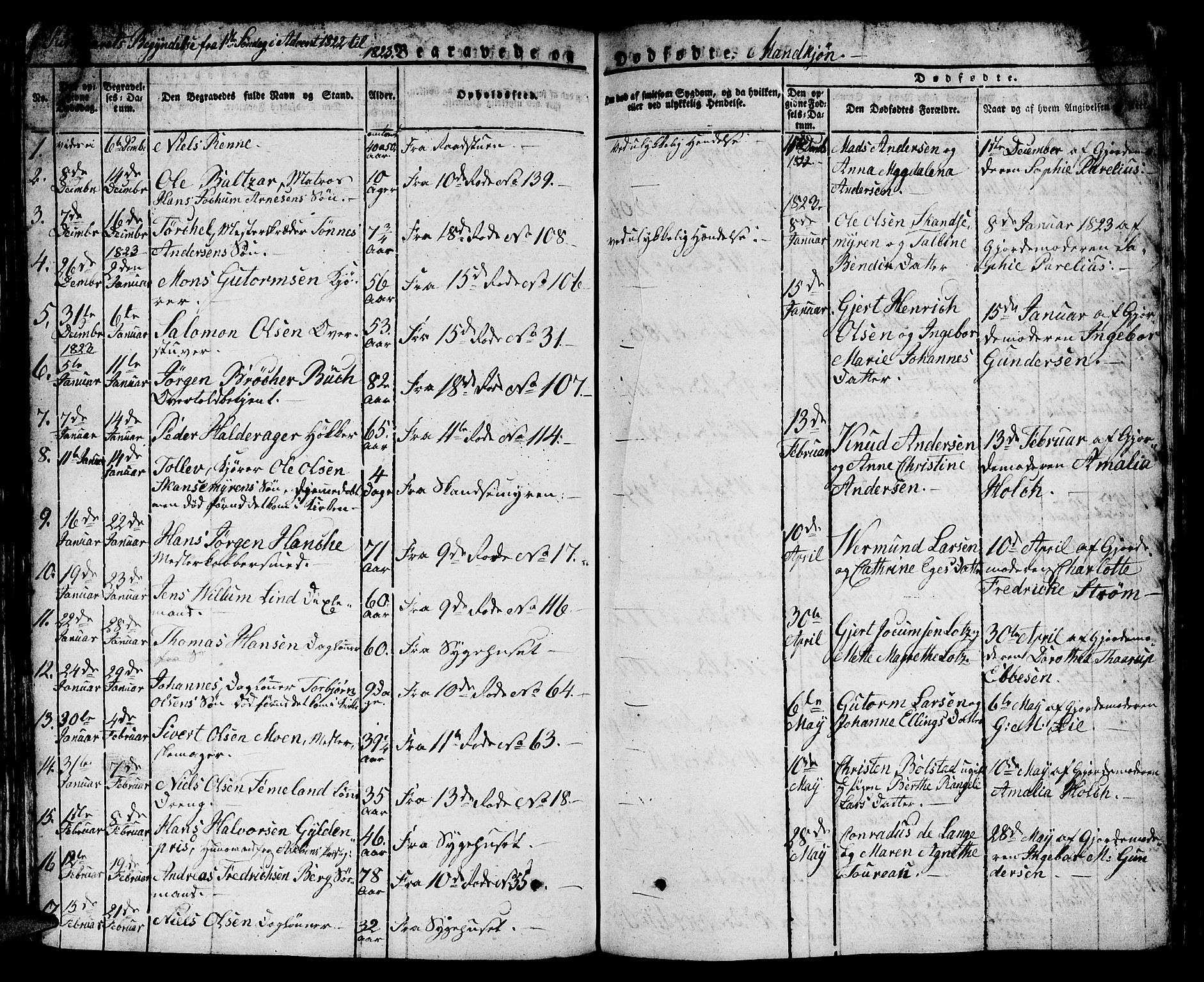 Domkirken sokneprestembete, SAB/A-74801/H/Hab/L0002: Parish register (copy) no. A 2, 1821-1839, p. 494