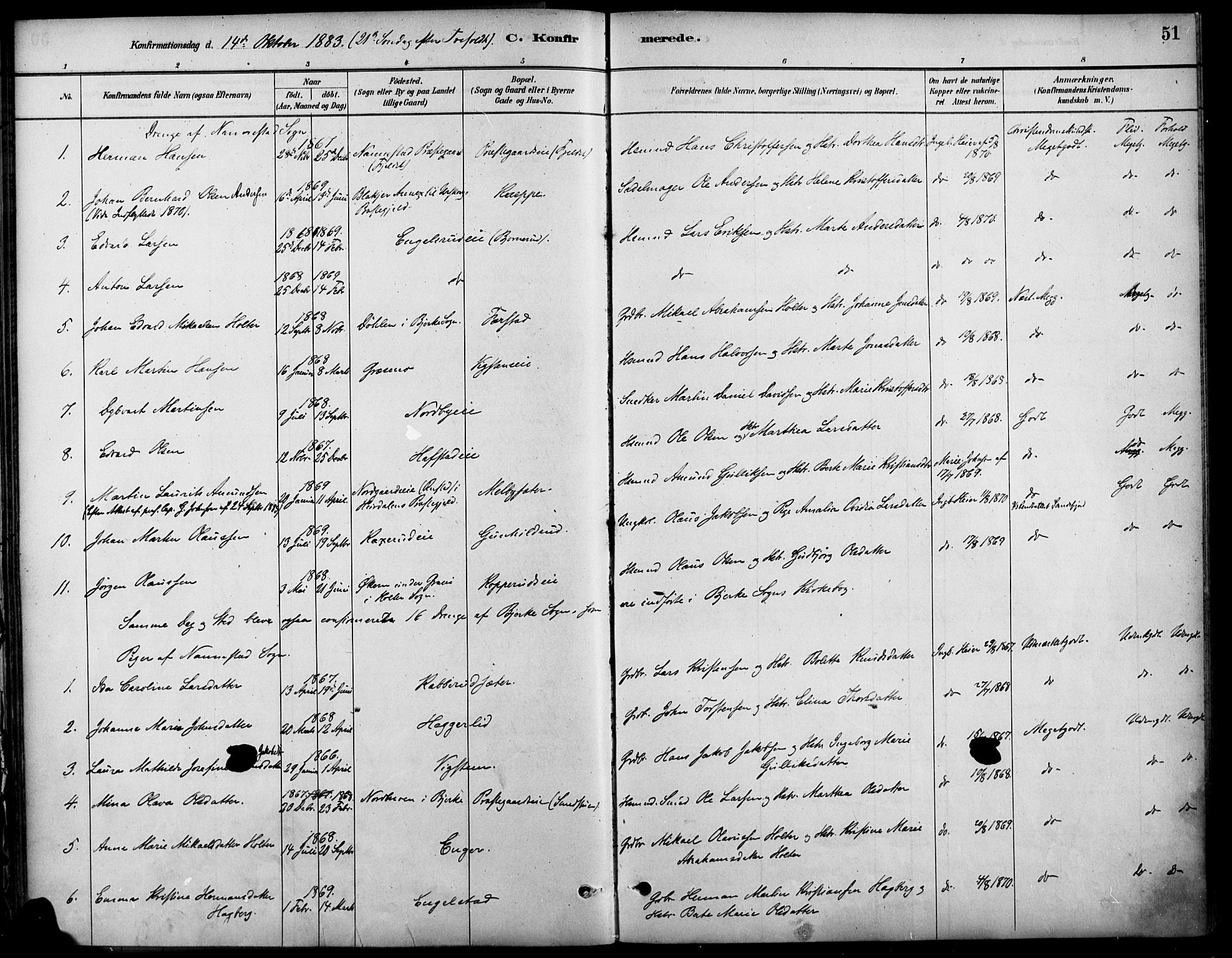 Nannestad prestekontor Kirkebøker, SAO/A-10414a/F/Fa/L0014: Parish register (official) no. I 14, 1881-1890, p. 51