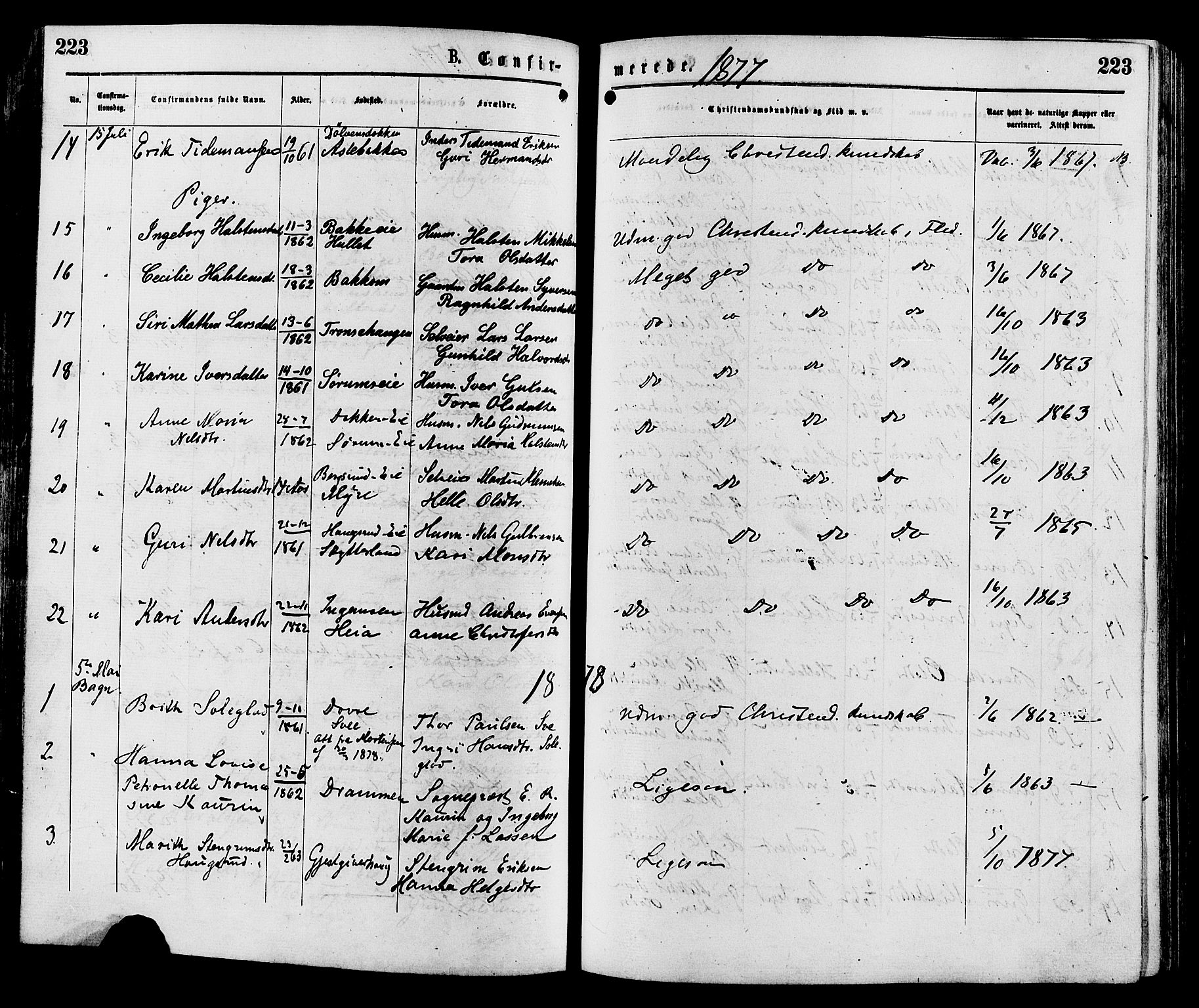 Sør-Aurdal prestekontor, AV/SAH-PREST-128/H/Ha/Haa/L0008: Parish register (official) no. 8, 1877-1885, p. 223