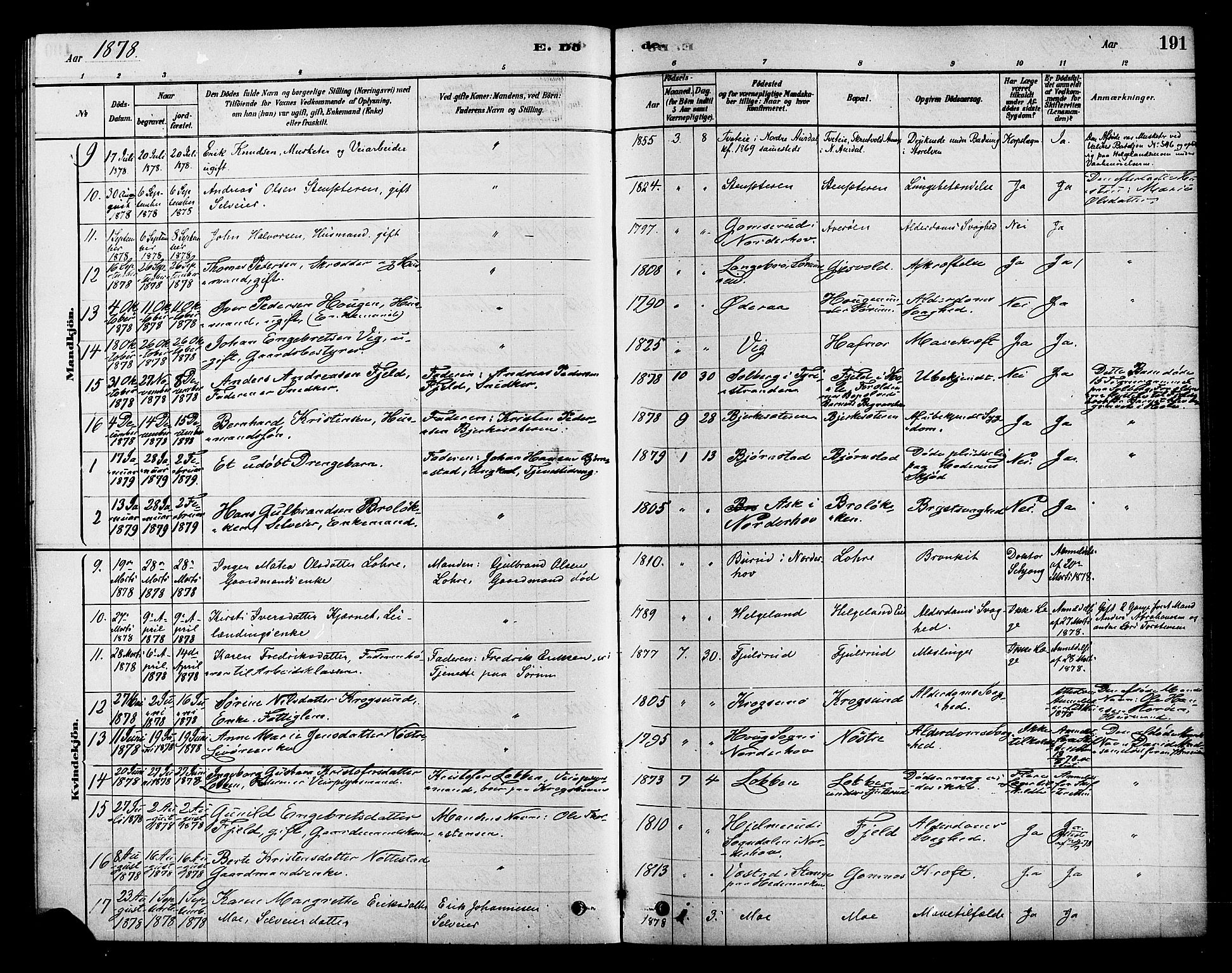 Hole kirkebøker, AV/SAKO-A-228/F/Fa/L0008: Parish register (official) no. I 8, 1878-1891, p. 191