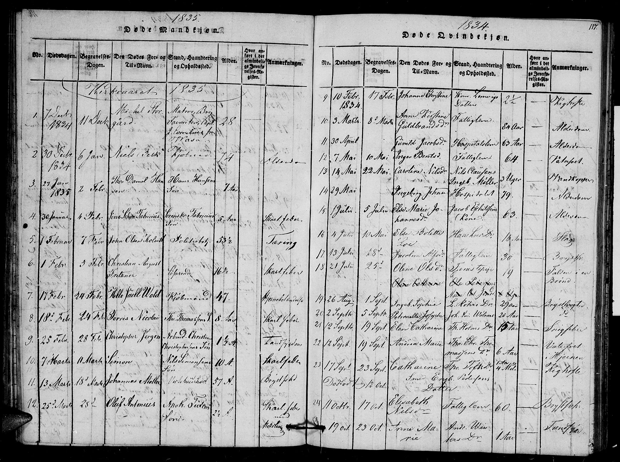 Arendal sokneprestkontor, Trefoldighet, SAK/1111-0040/F/Fb/L0001: Parish register (copy) no. B 1, 1816-1838, p. 117
