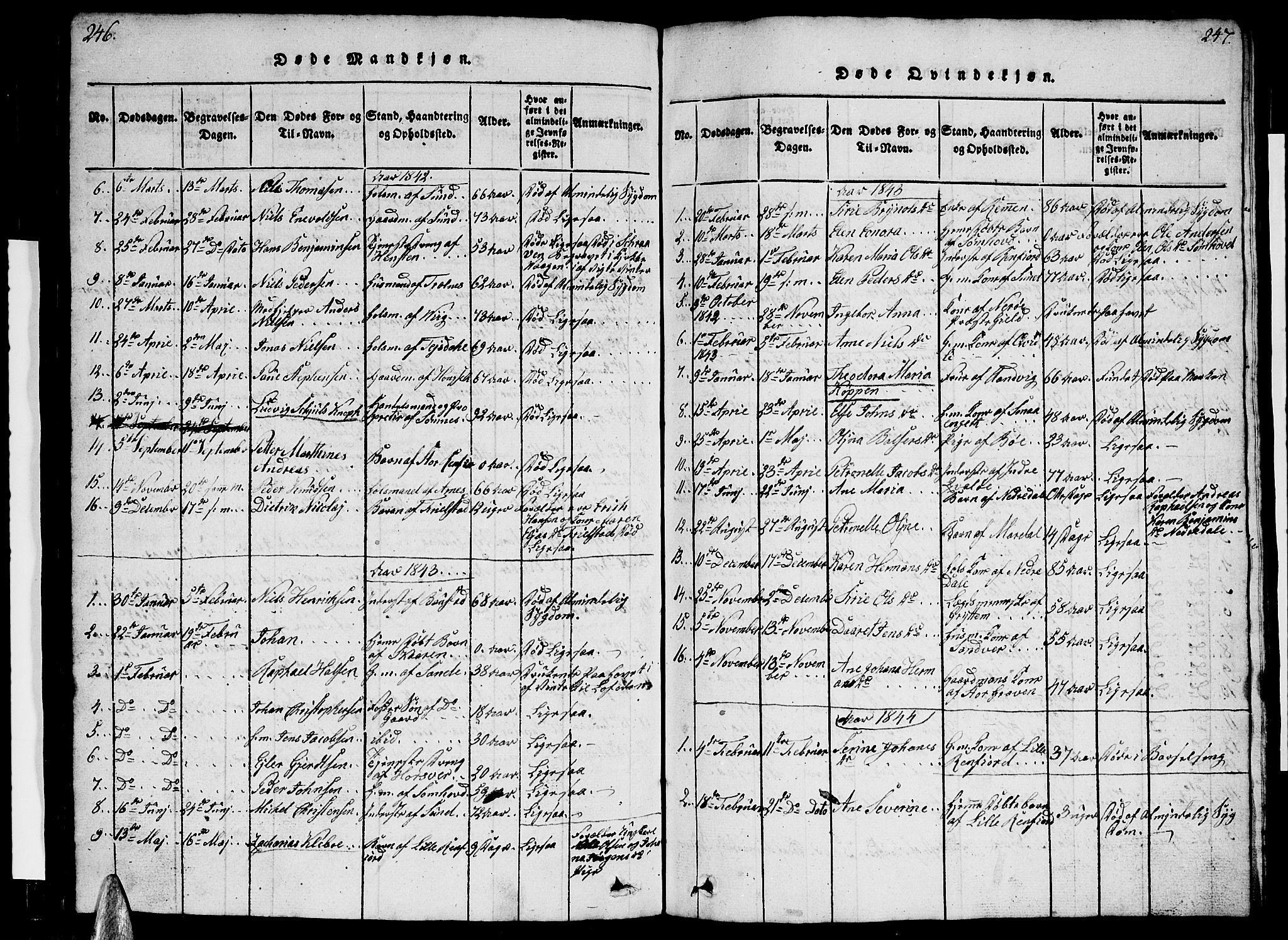 Ministerialprotokoller, klokkerbøker og fødselsregistre - Nordland, SAT/A-1459/812/L0186: Parish register (copy) no. 812C04, 1820-1849, p. 246-247