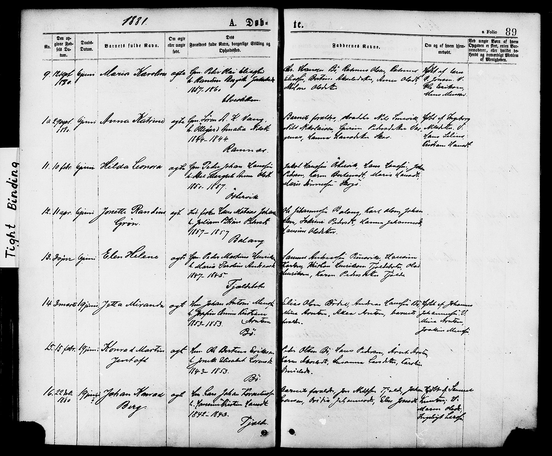 Ministerialprotokoller, klokkerbøker og fødselsregistre - Nordland, AV/SAT-A-1459/863/L0897: Parish register (official) no. 863A09, 1872-1886, p. 89