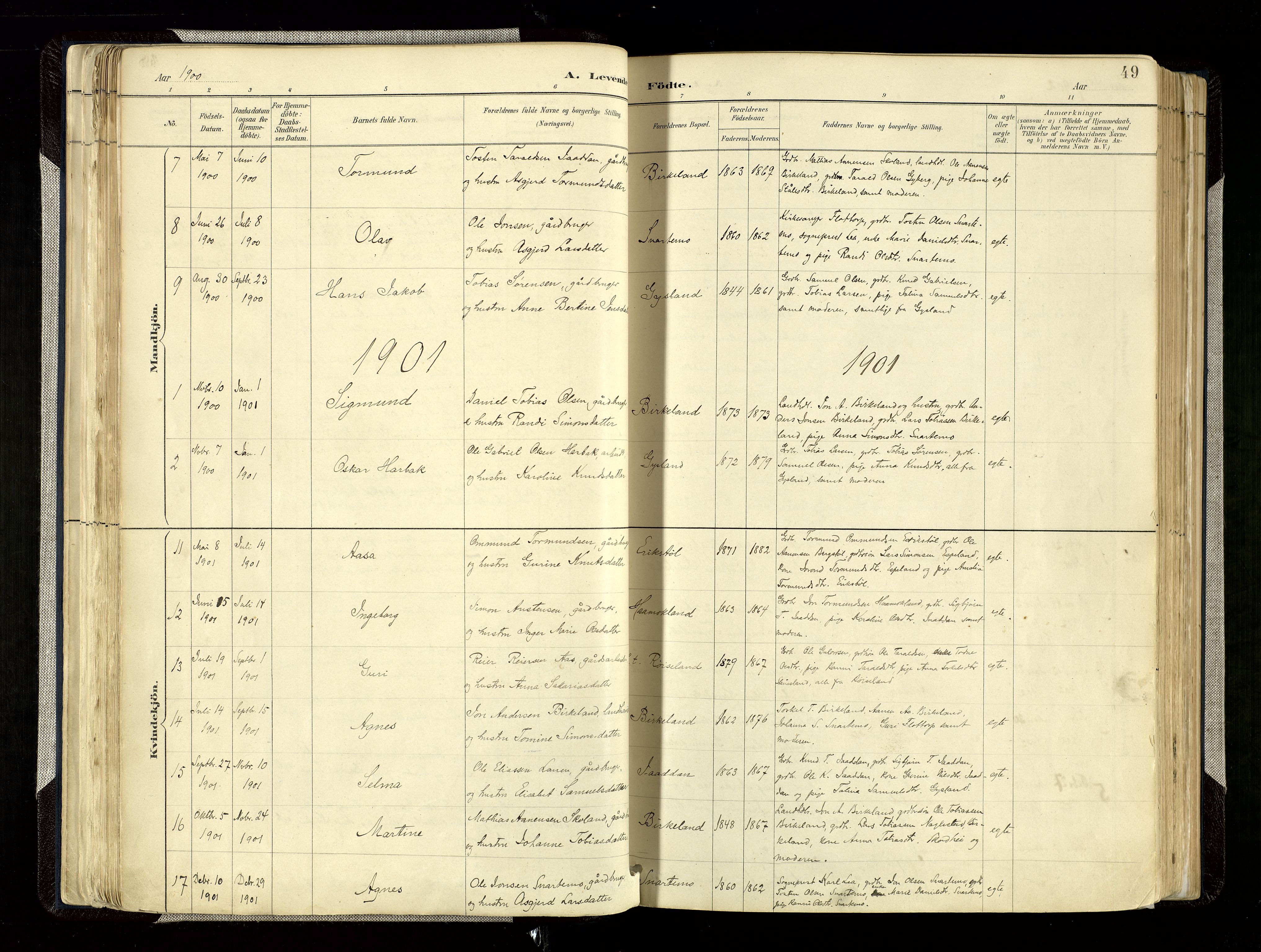 Hægebostad sokneprestkontor, AV/SAK-1111-0024/F/Fa/Faa/L0006: Parish register (official) no. A 6, 1887-1929, p. 49