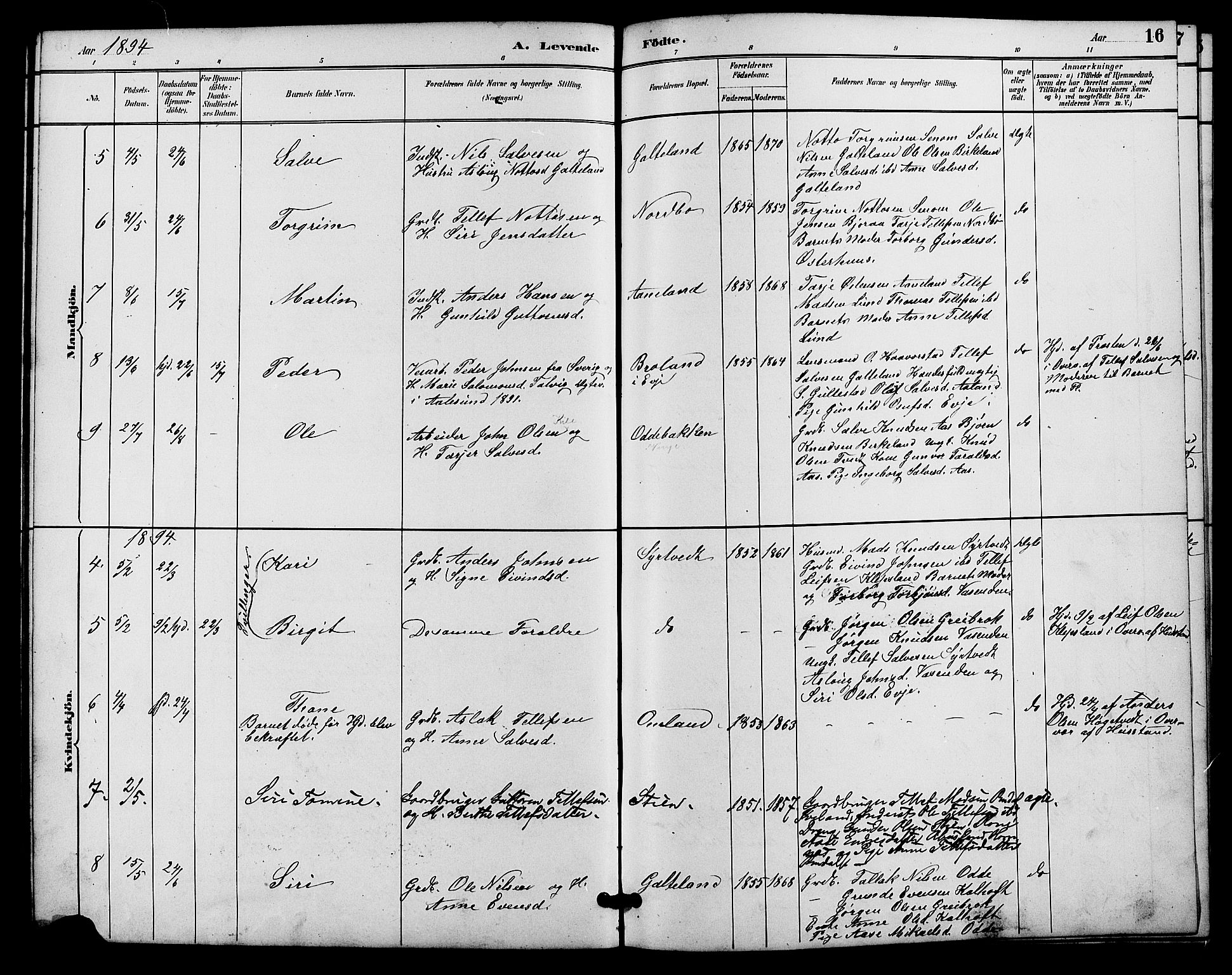 Evje sokneprestkontor, SAK/1111-0008/F/Fb/Fba/L0003: Parish register (copy) no. B 3, 1888-1903, p. 16