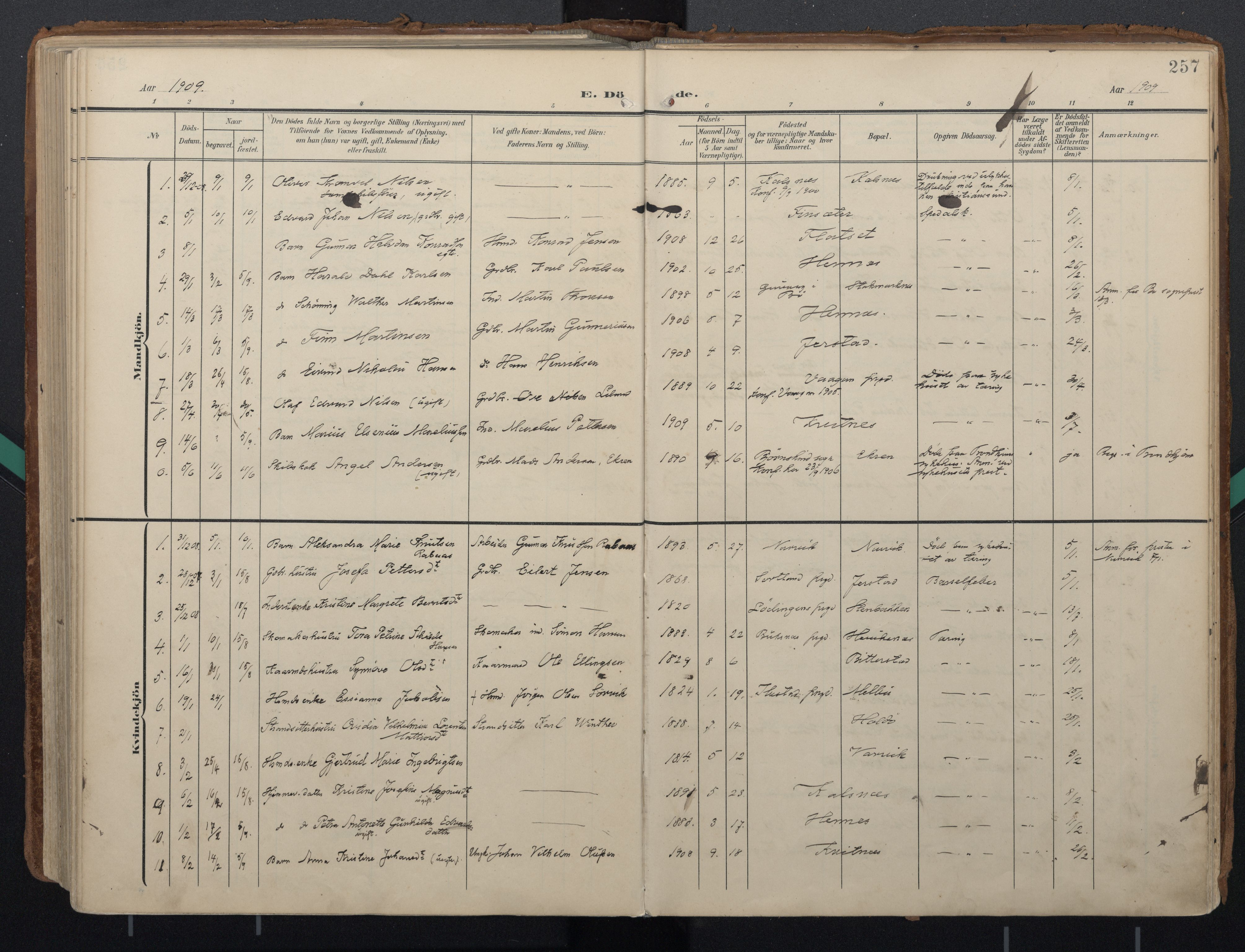 Ministerialprotokoller, klokkerbøker og fødselsregistre - Nordland, AV/SAT-A-1459/888/L1248: Parish register (official) no. 888A14, 1904-1913, p. 257