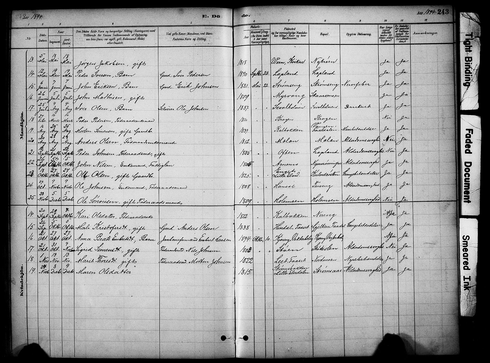 Tynset prestekontor, SAH/PREST-058/H/Ha/Hab/L0006: Parish register (copy) no. 6, 1880-1899, p. 243