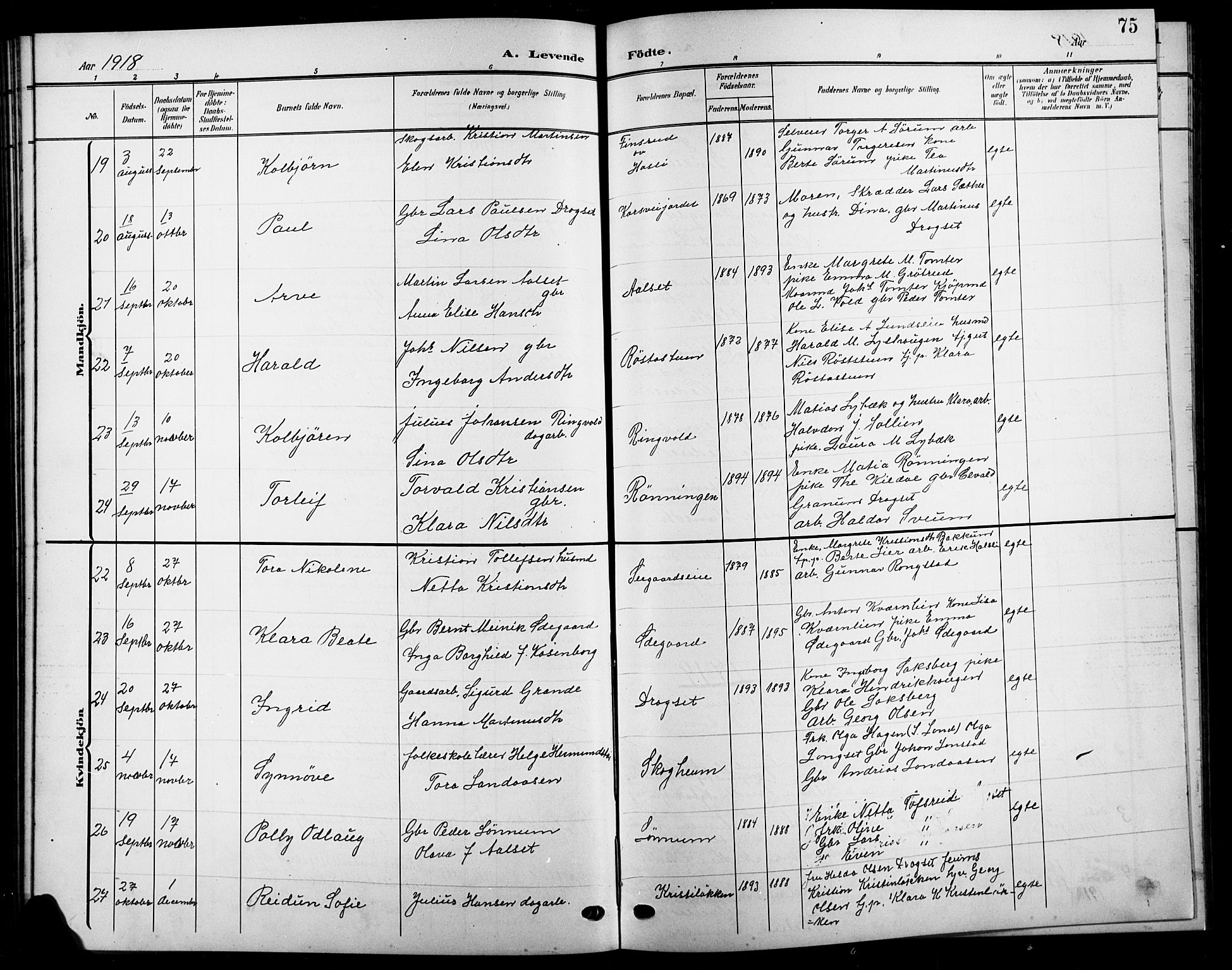 Biri prestekontor, SAH/PREST-096/H/Ha/Hab/L0005: Parish register (copy) no. 5, 1906-1919, p. 75