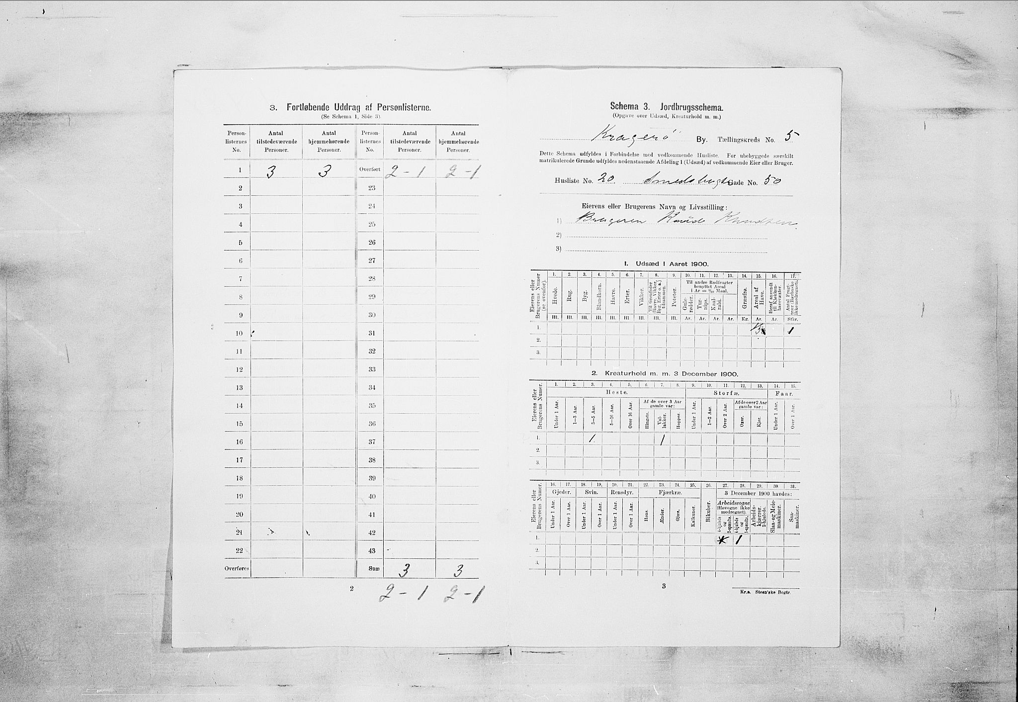 SAKO, 1900 census for Kragerø, 1900, p. 3831