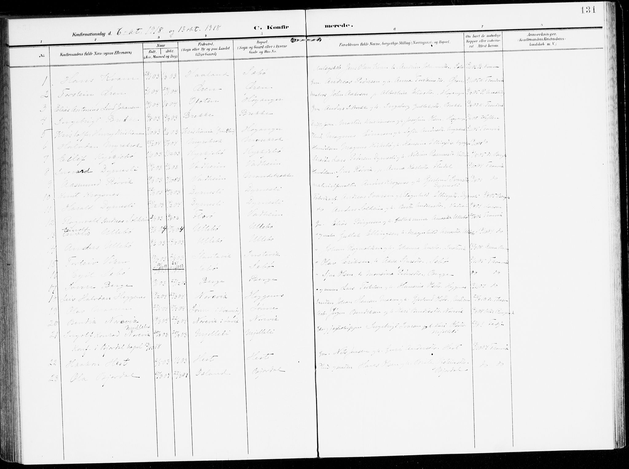 Lavik sokneprestembete, SAB/A-80901: Parish register (official) no. C 2, 1904-1921, p. 131