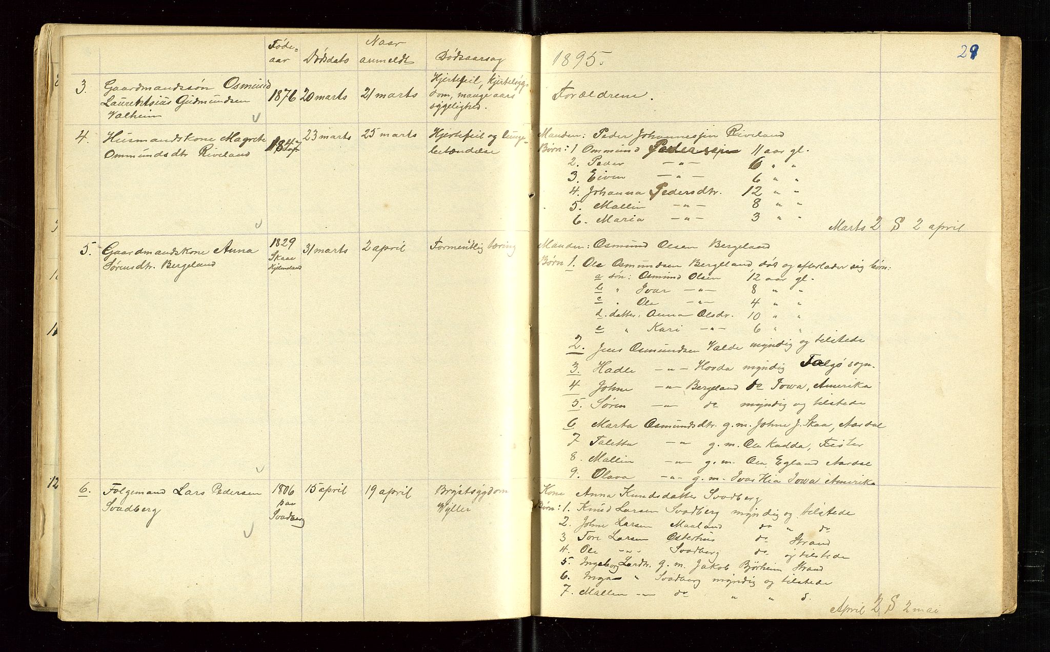 Årdal lensmannskontor, AV/SAST-A-100453/Gga/L0002: "Protokol over dødsanmeldelser gjorte til lensmanden i Aardal", 1885-1895, p. 29