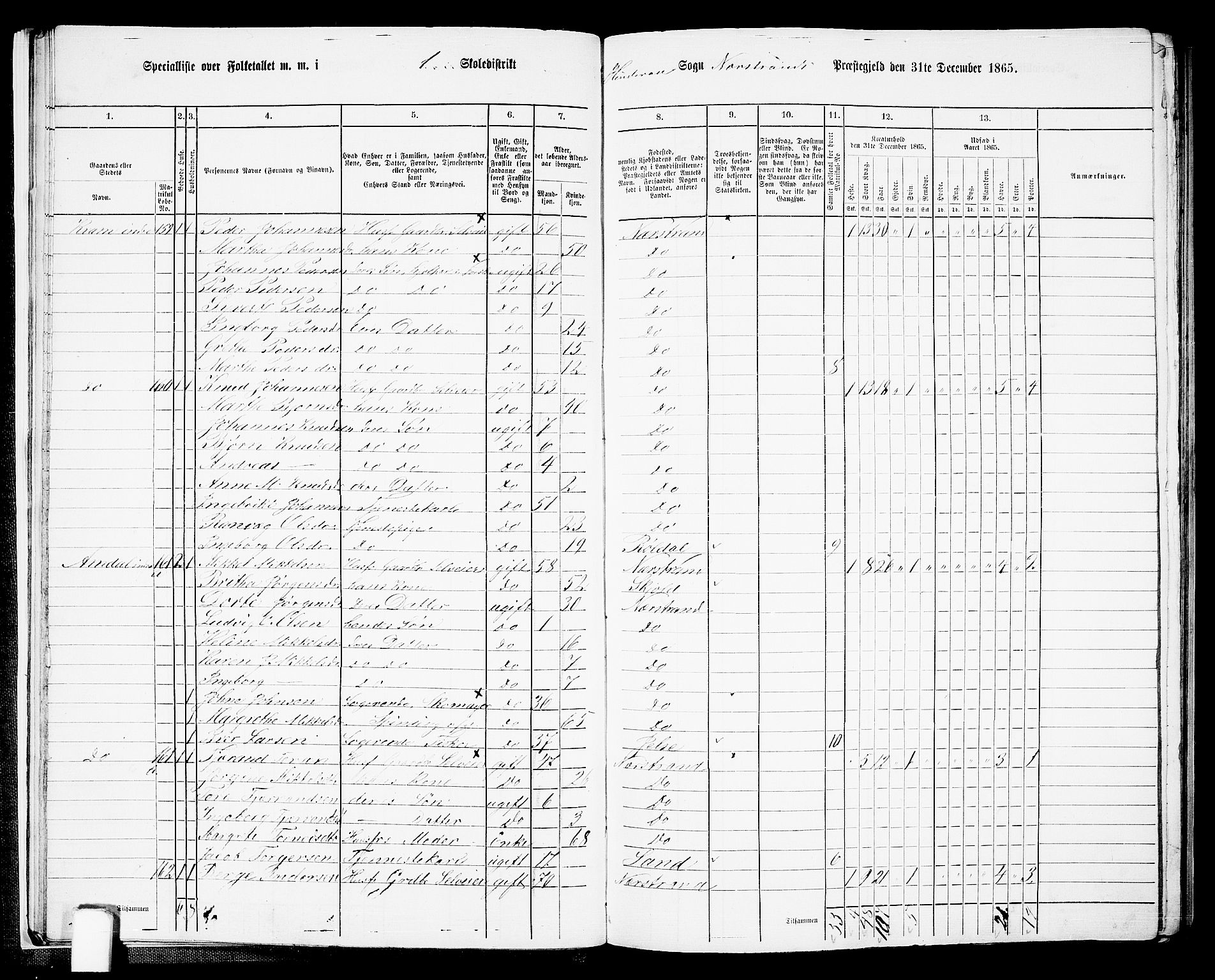 RA, 1865 census for Nedstrand, 1865, p. 20