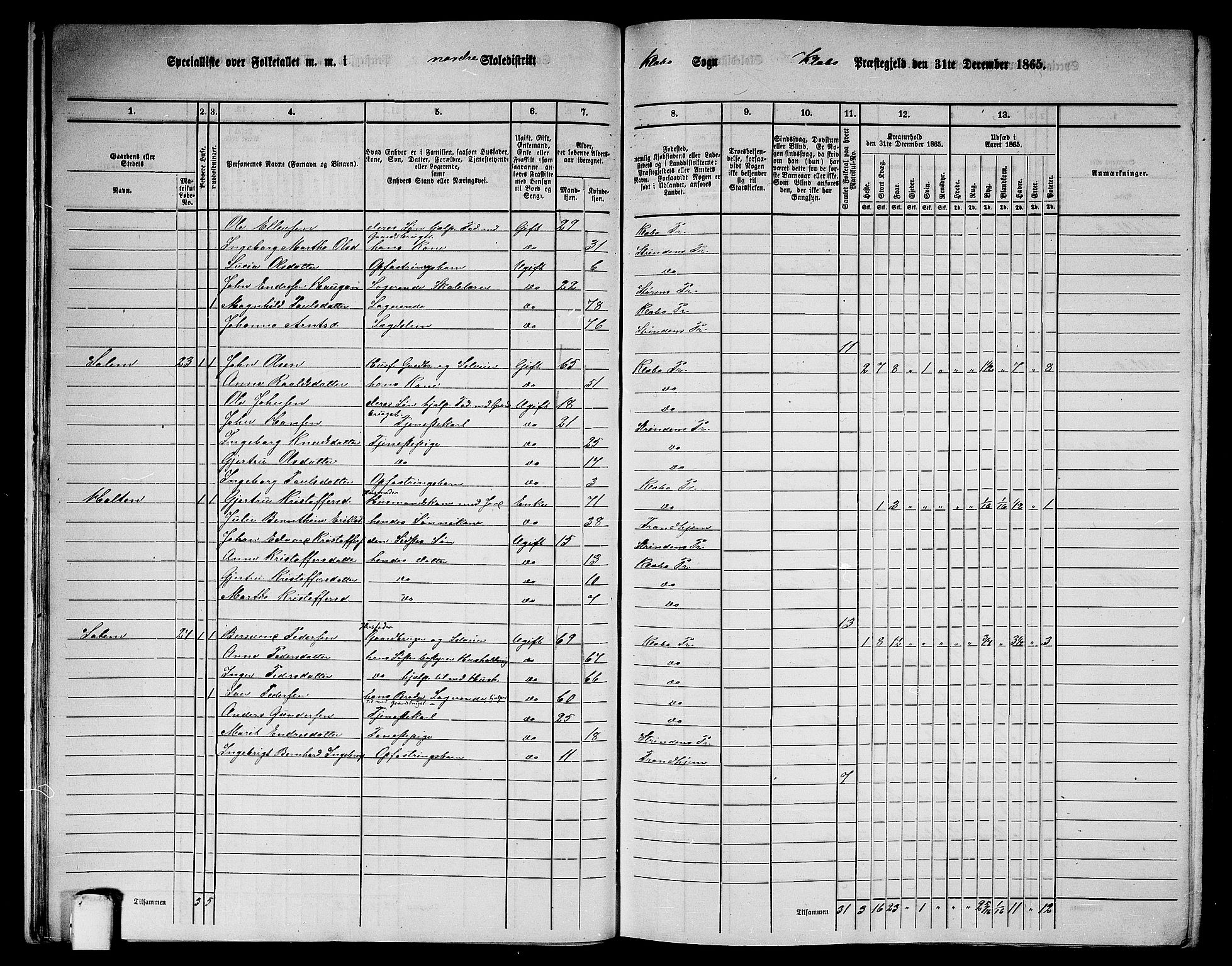 RA, 1865 census for Klæbu, 1865, p. 17