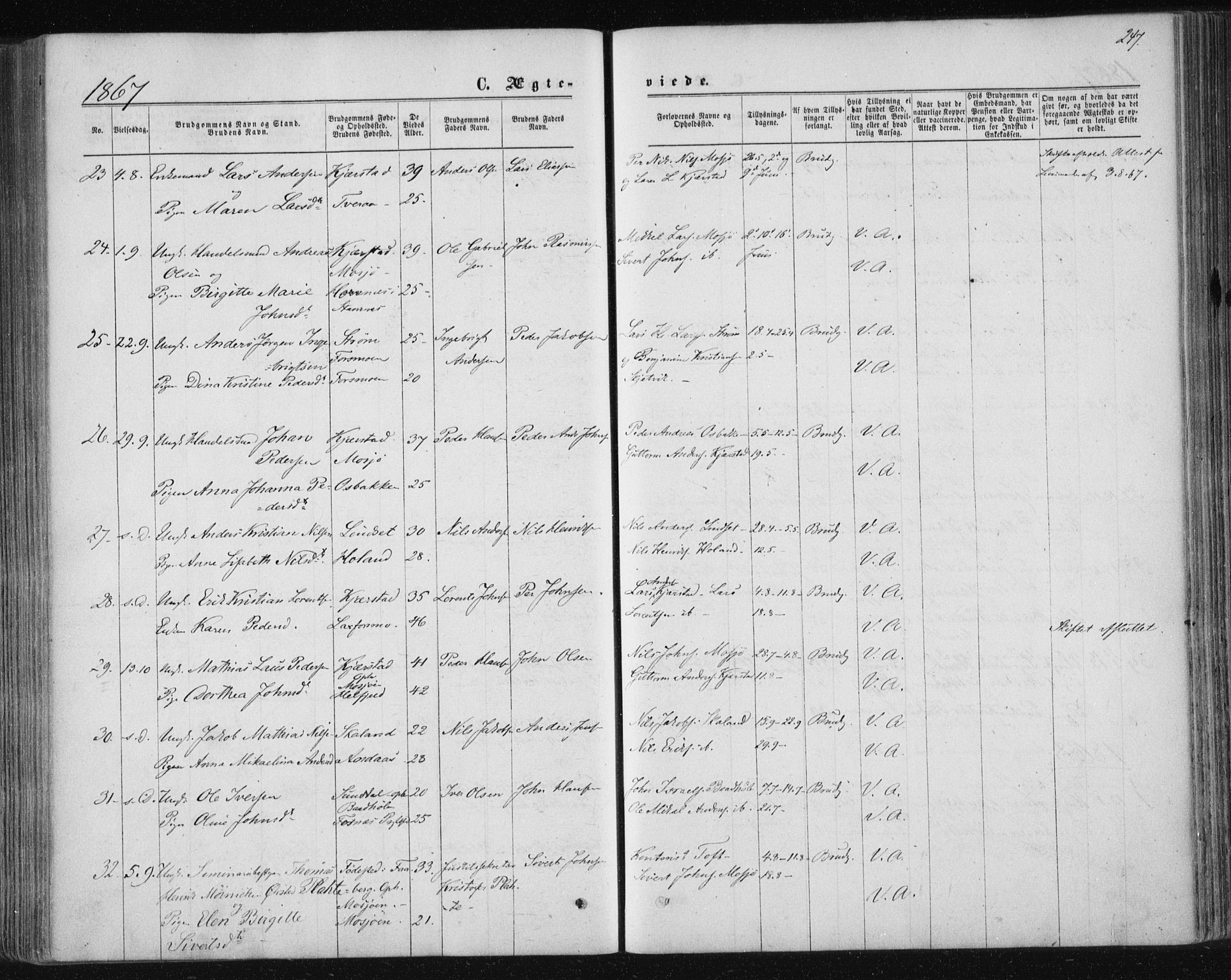 Ministerialprotokoller, klokkerbøker og fødselsregistre - Nordland, SAT/A-1459/820/L0294: Parish register (official) no. 820A15, 1866-1879, p. 247