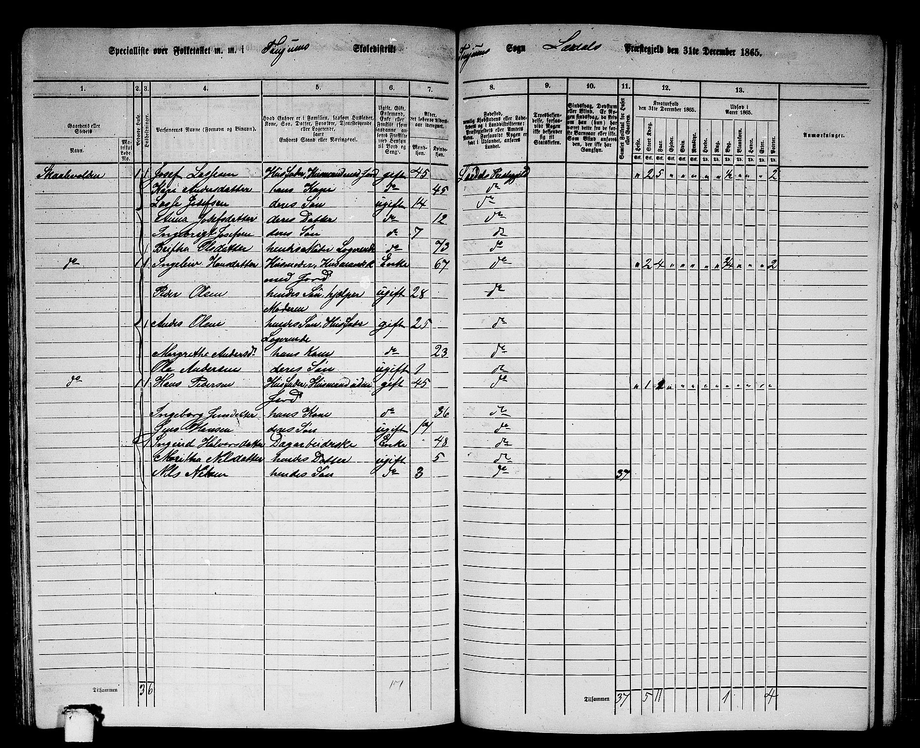 RA, 1865 census for Lærdal, 1865, p. 109