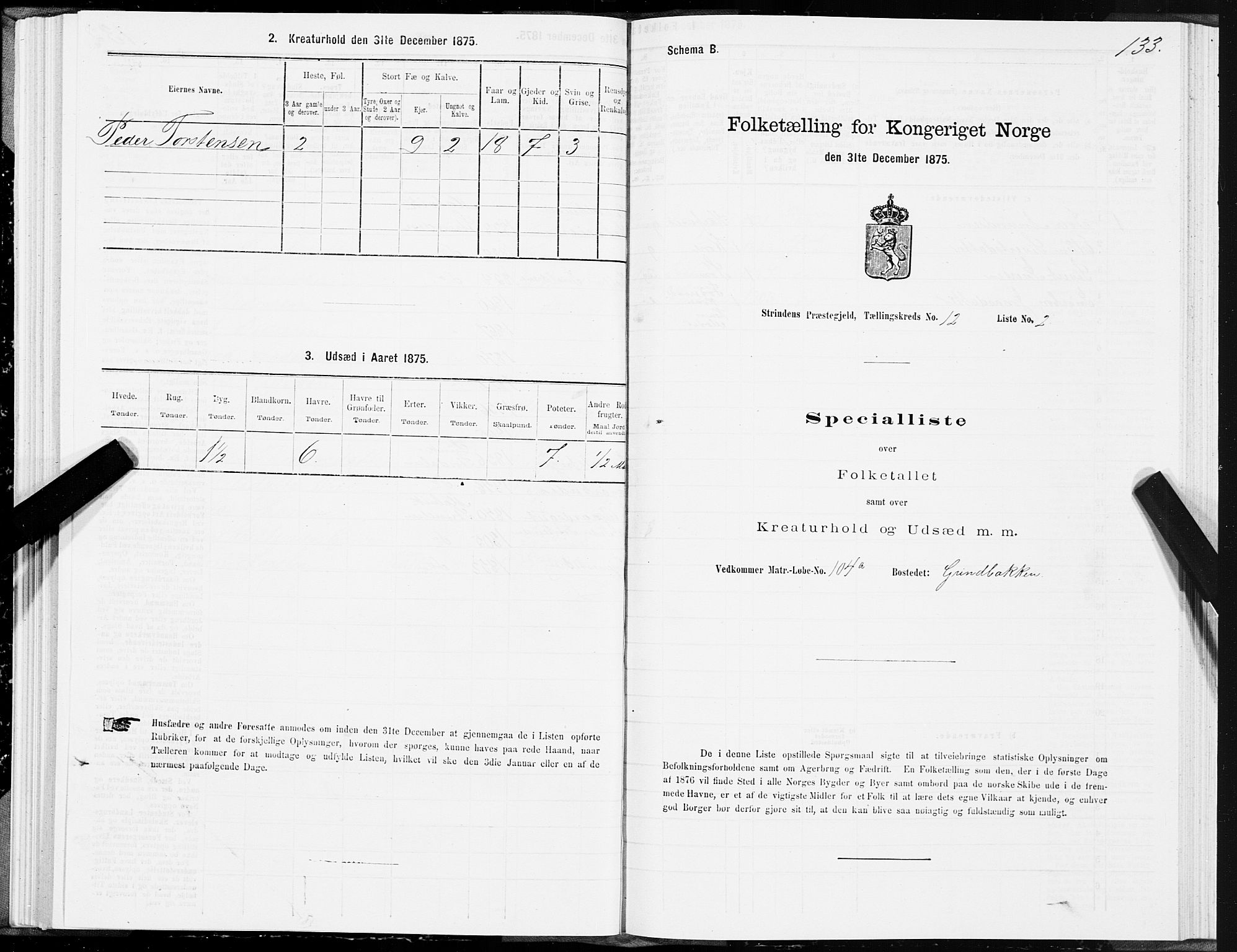 SAT, 1875 census for 1660P Strinda, 1875, p. 7133