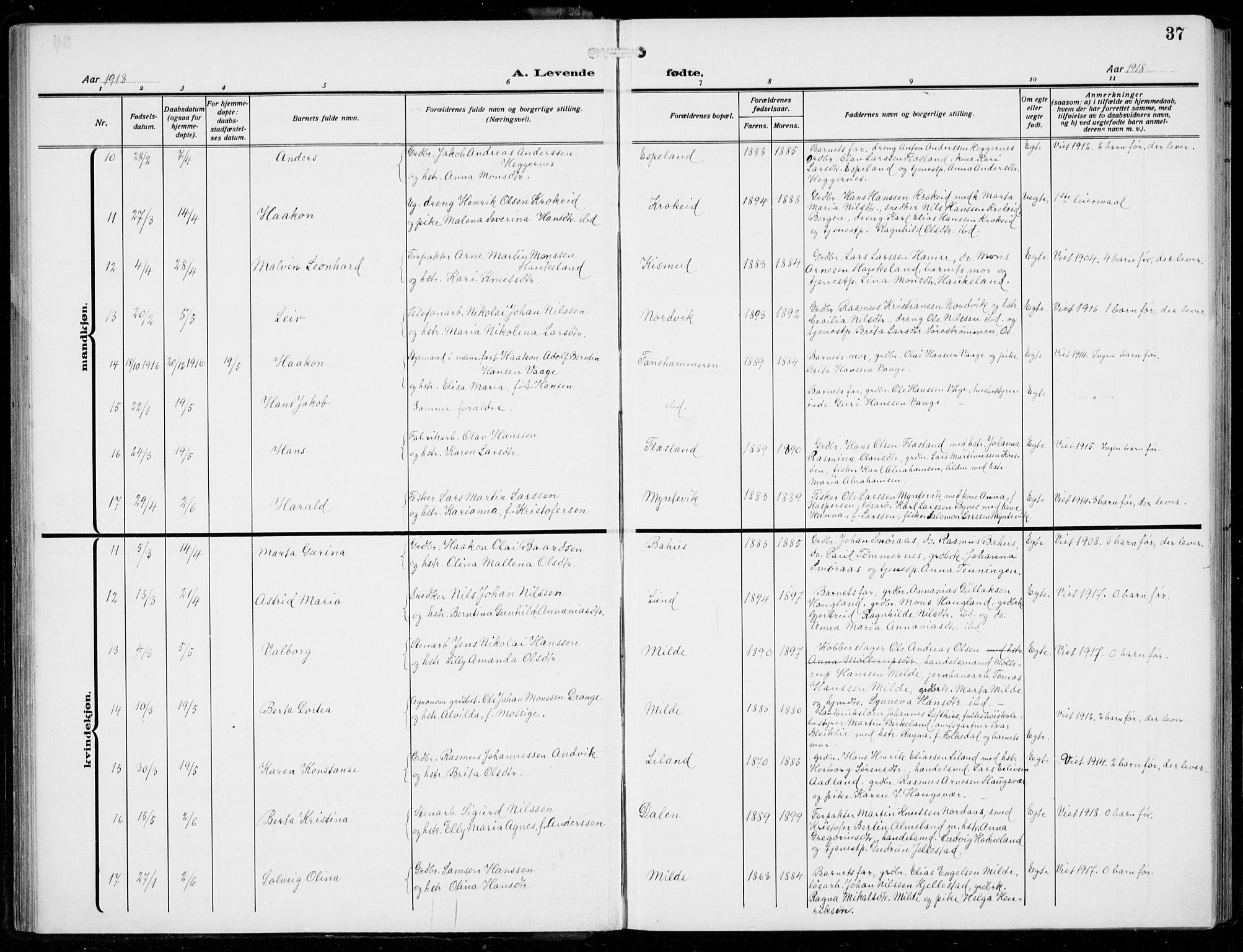 Fana Sokneprestembete, AV/SAB-A-75101/H/Hab/Haba/L0005: Parish register (copy) no. A 5, 1911-1932, p. 37