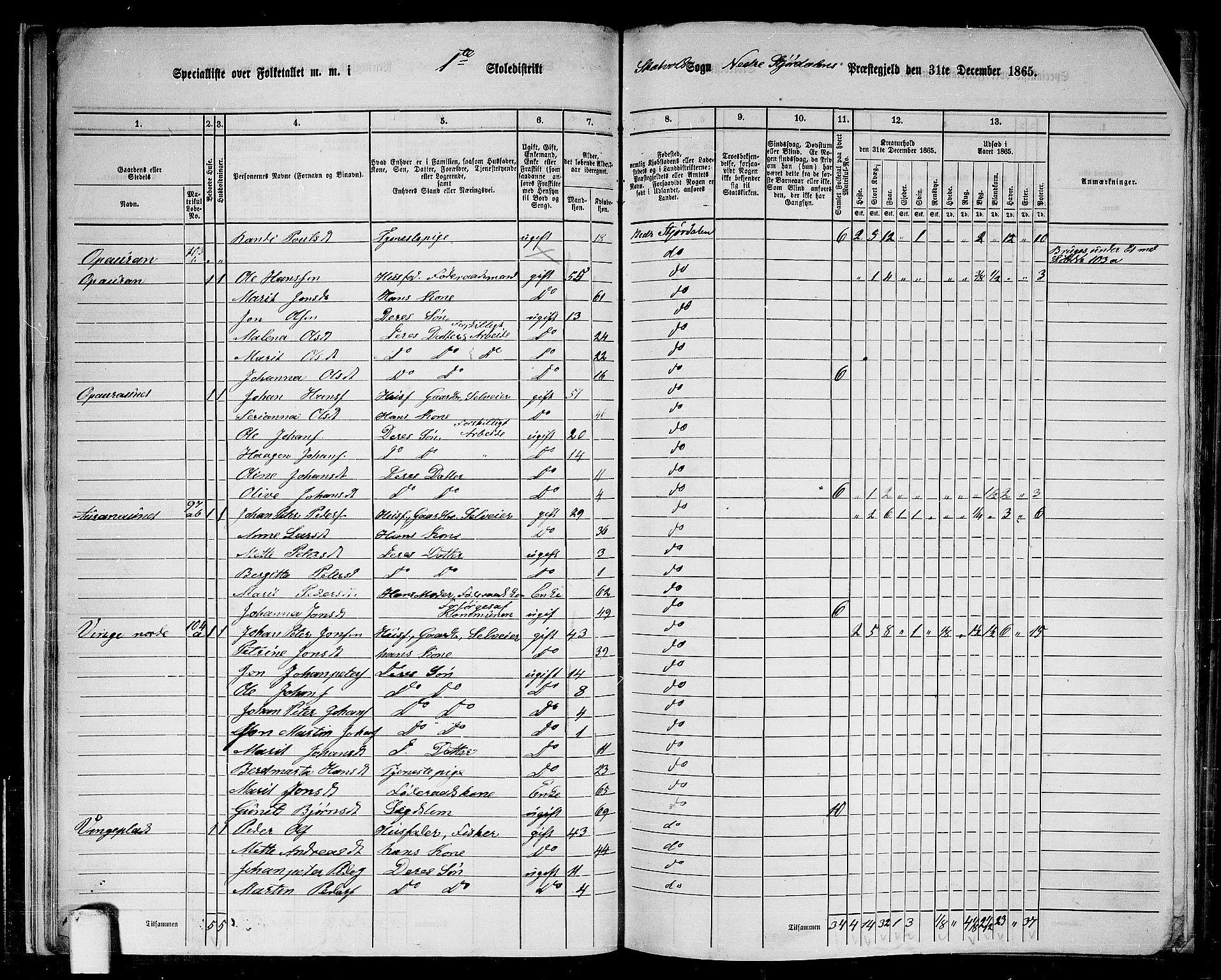 RA, 1865 census for Nedre Stjørdal, 1865, p. 24