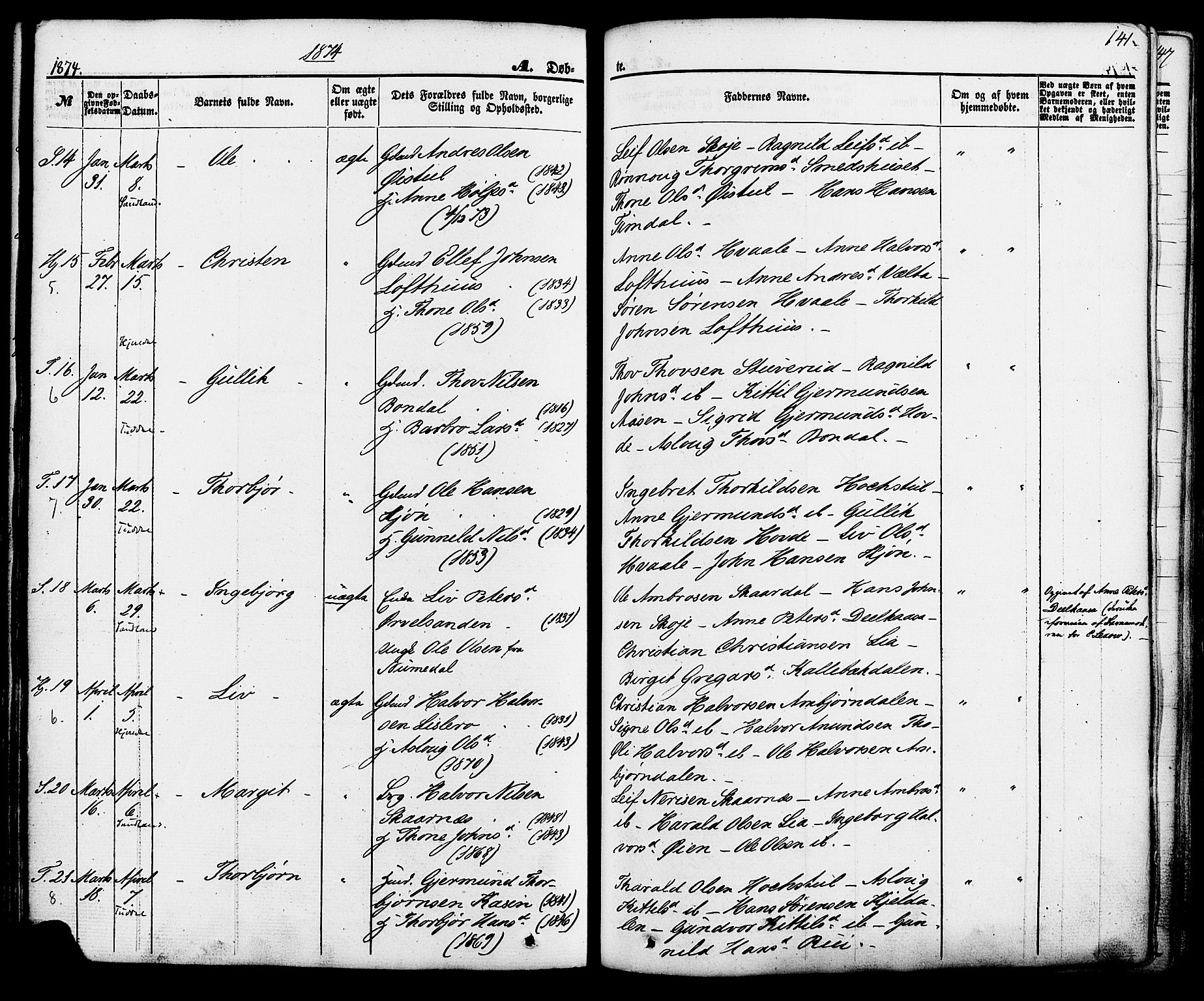 Hjartdal kirkebøker, SAKO/A-270/F/Fa/L0009: Parish register (official) no. I 9, 1860-1879, p. 141