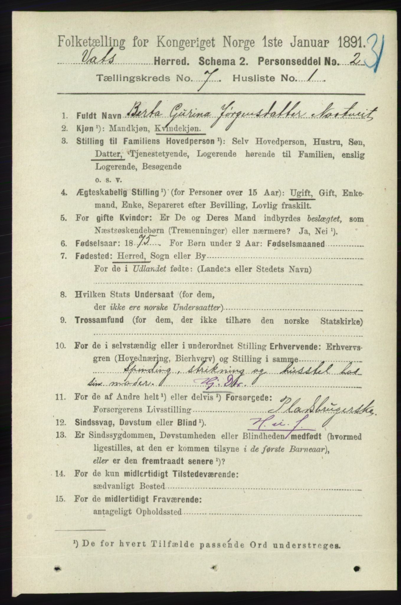 RA, 1891 census for 1155 Vats, 1891, p. 1101