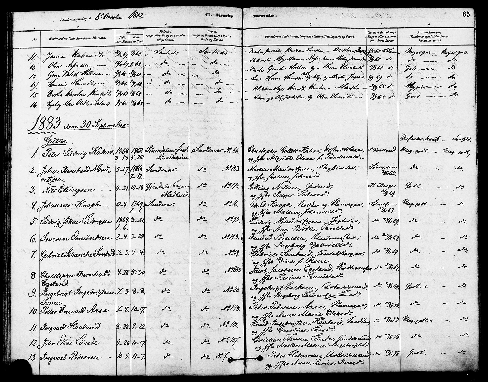 Høyland sokneprestkontor, AV/SAST-A-101799/001/30BA/L0012: Parish register (official) no. A 11, 1878-1889, p. 65