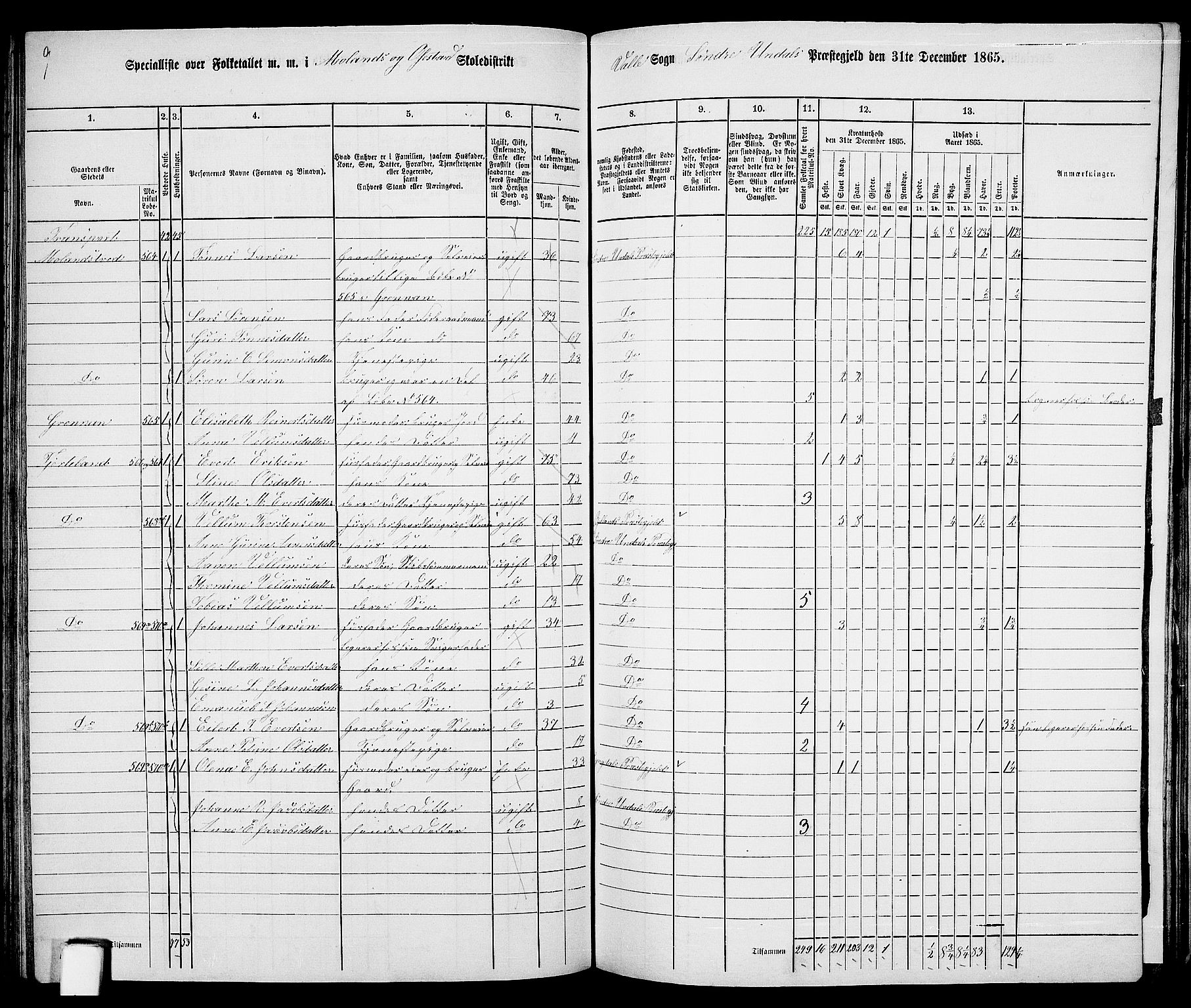 RA, 1865 census for Sør-Audnedal, 1865, p. 123