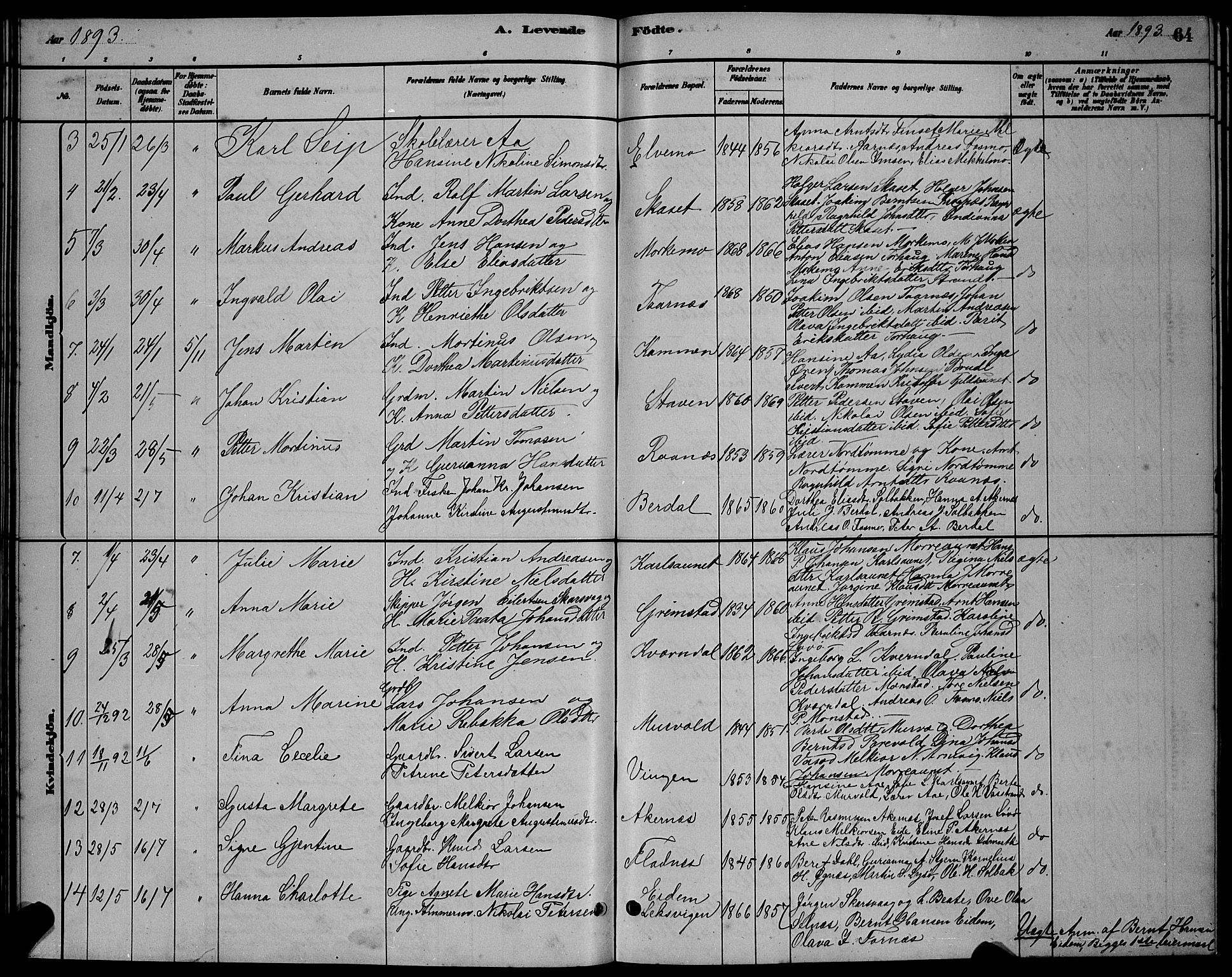 Ministerialprotokoller, klokkerbøker og fødselsregistre - Sør-Trøndelag, AV/SAT-A-1456/655/L0687: Parish register (copy) no. 655C03, 1880-1898, p. 64