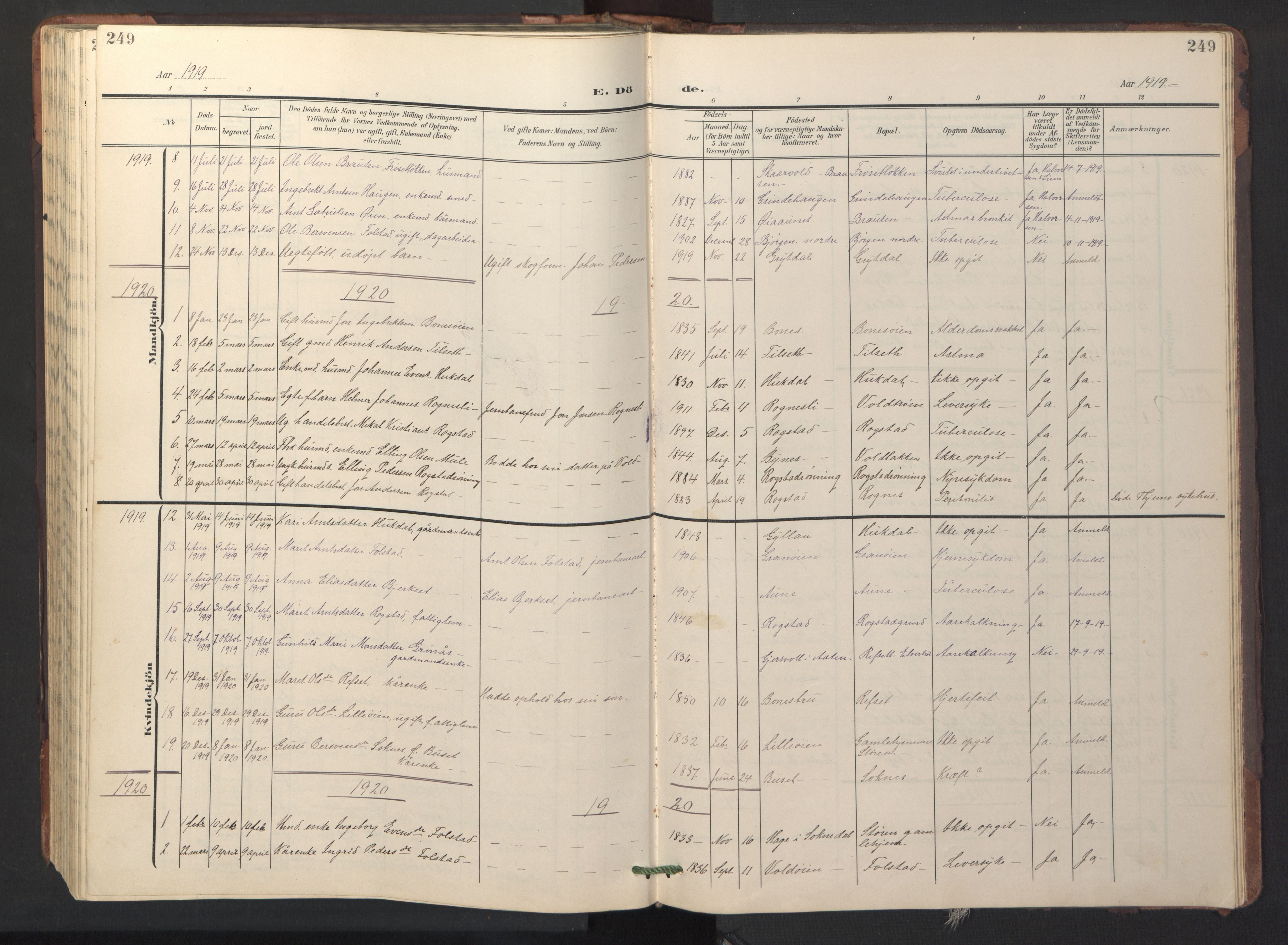 Ministerialprotokoller, klokkerbøker og fødselsregistre - Sør-Trøndelag, SAT/A-1456/687/L1019: Parish register (copy) no. 687C03, 1904-1931, p. 249