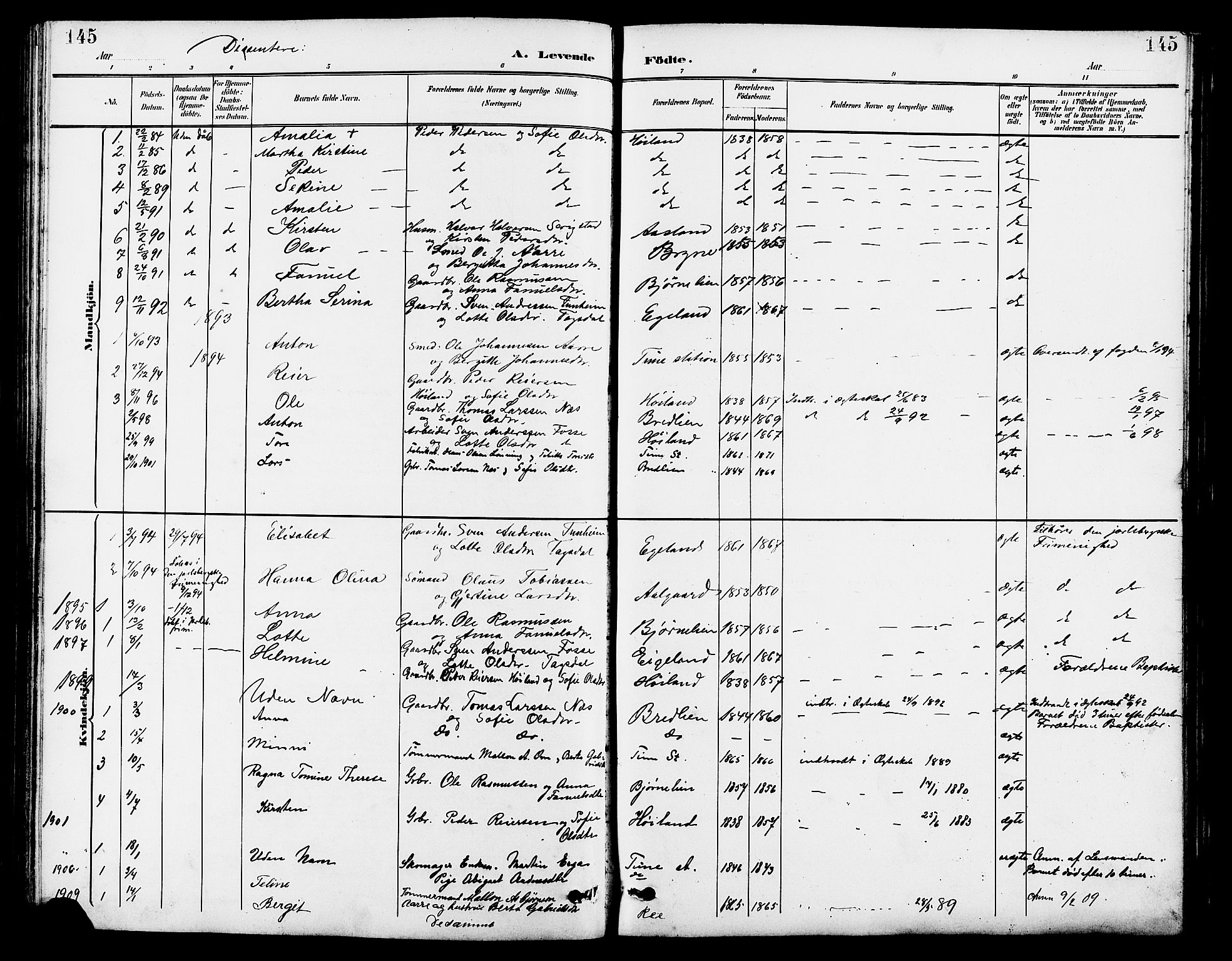 Lye sokneprestkontor, SAST/A-101794/001/30BB/L0007: Parish register (copy) no. B 8, 1889-1909, p. 145