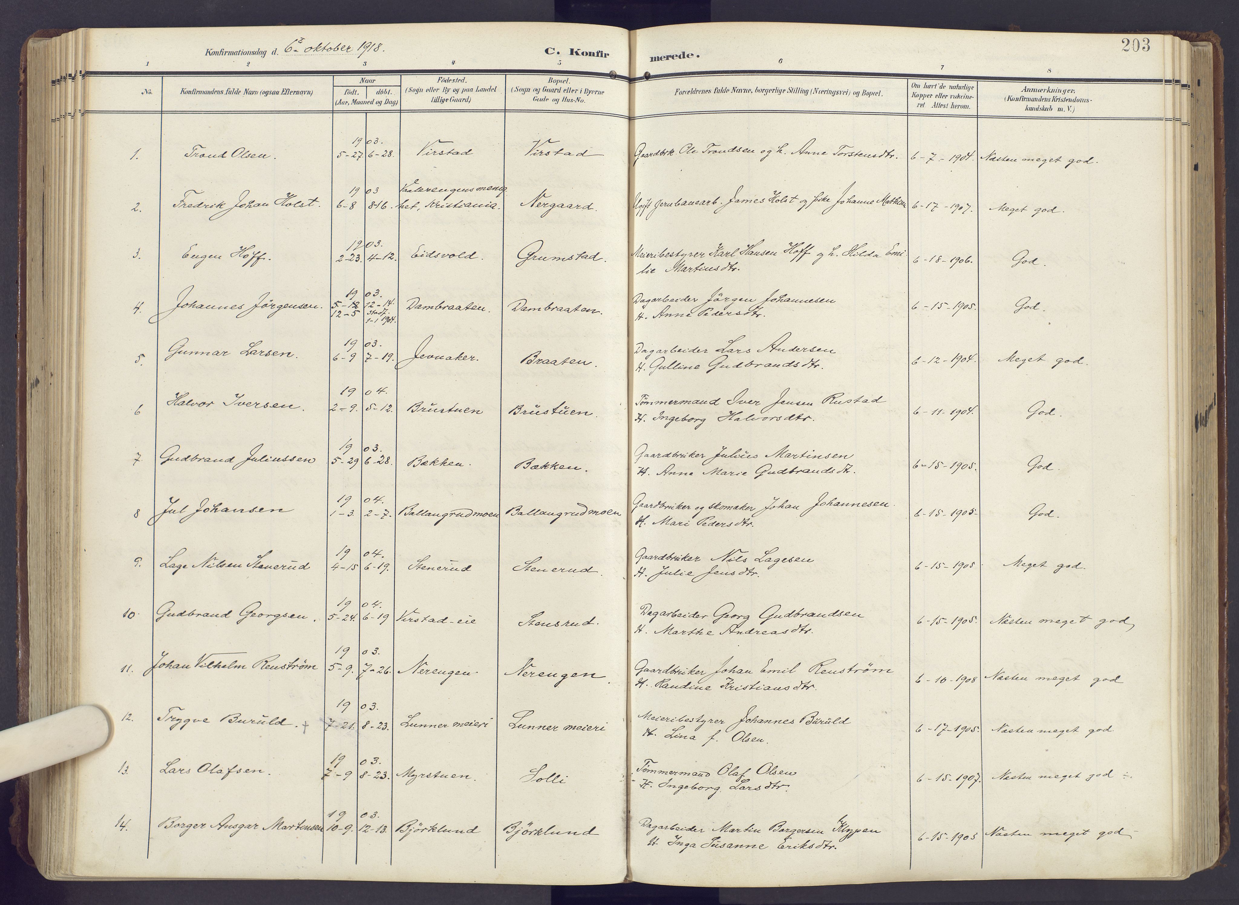 Lunner prestekontor, SAH/PREST-118/H/Ha/Haa/L0001: Parish register (official) no. 1, 1907-1922, p. 203