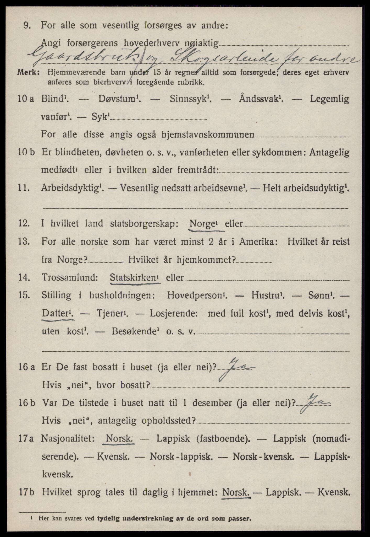 SAT, 1920 census for Soknedal, 1920, p. 2705