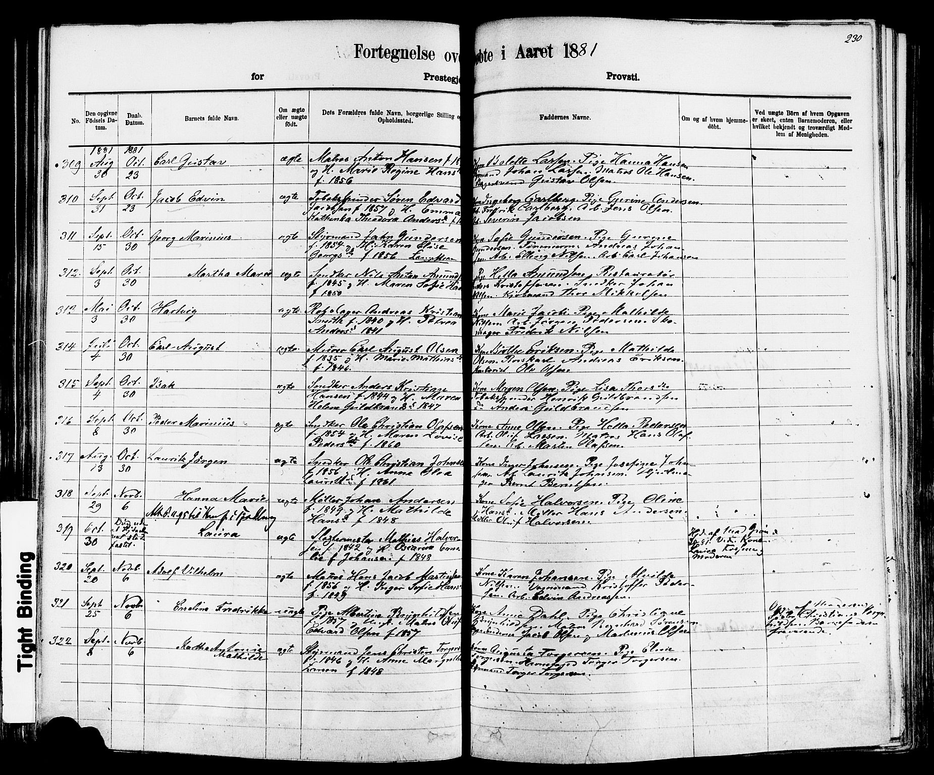 Larvik kirkebøker, AV/SAKO-A-352/F/Fa/L0006: Parish register (official) no. I 6, 1871-1883, p. 230