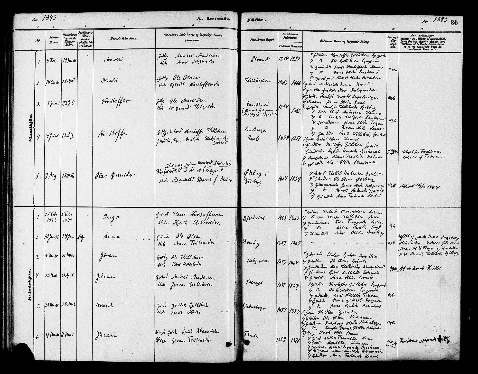 Flesberg kirkebøker, AV/SAKO-A-18/F/Fc/L0001: Parish register (official) no. III 1, 1879-1905, p. 36