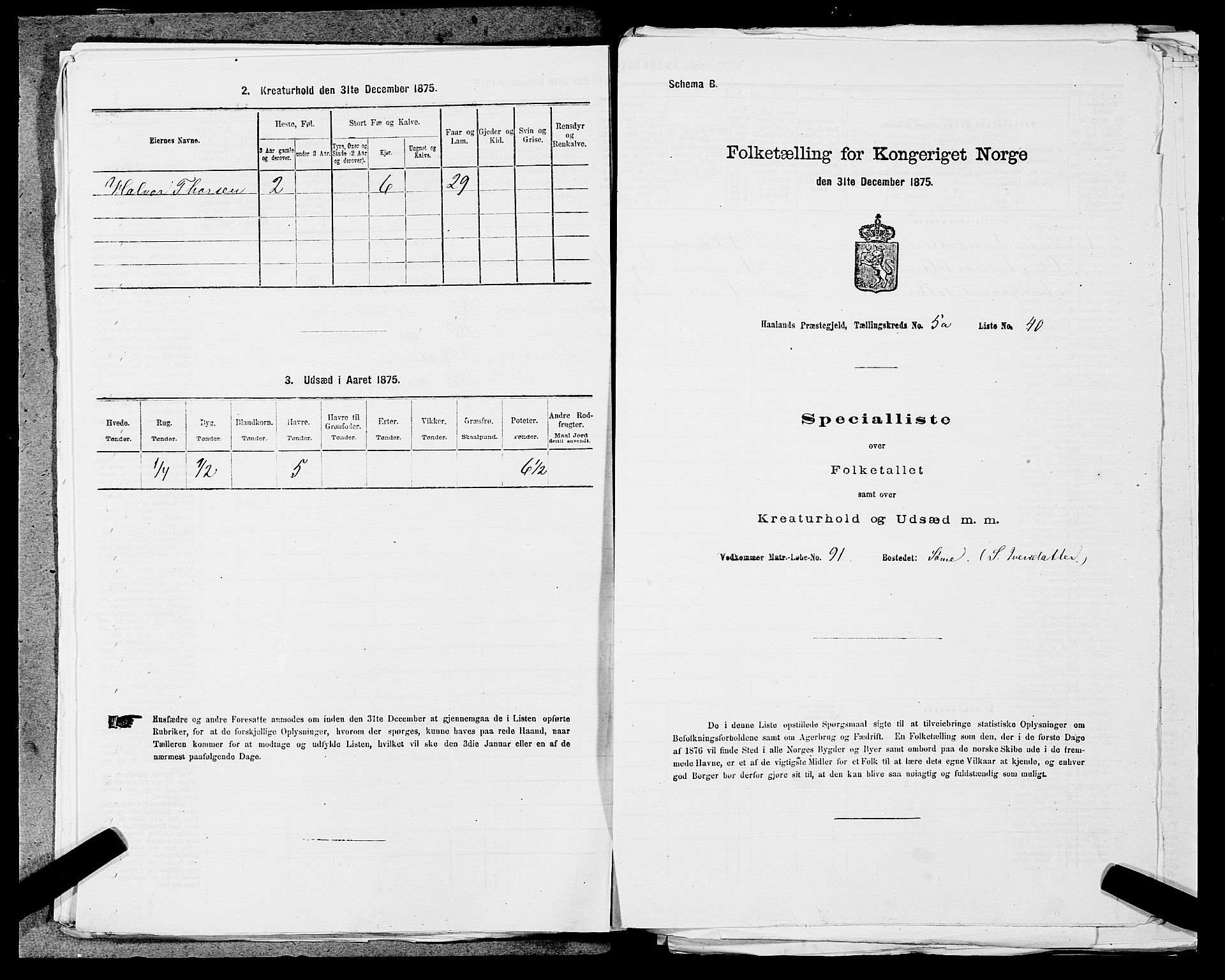 SAST, 1875 census for 1124P Håland, 1875, p. 722