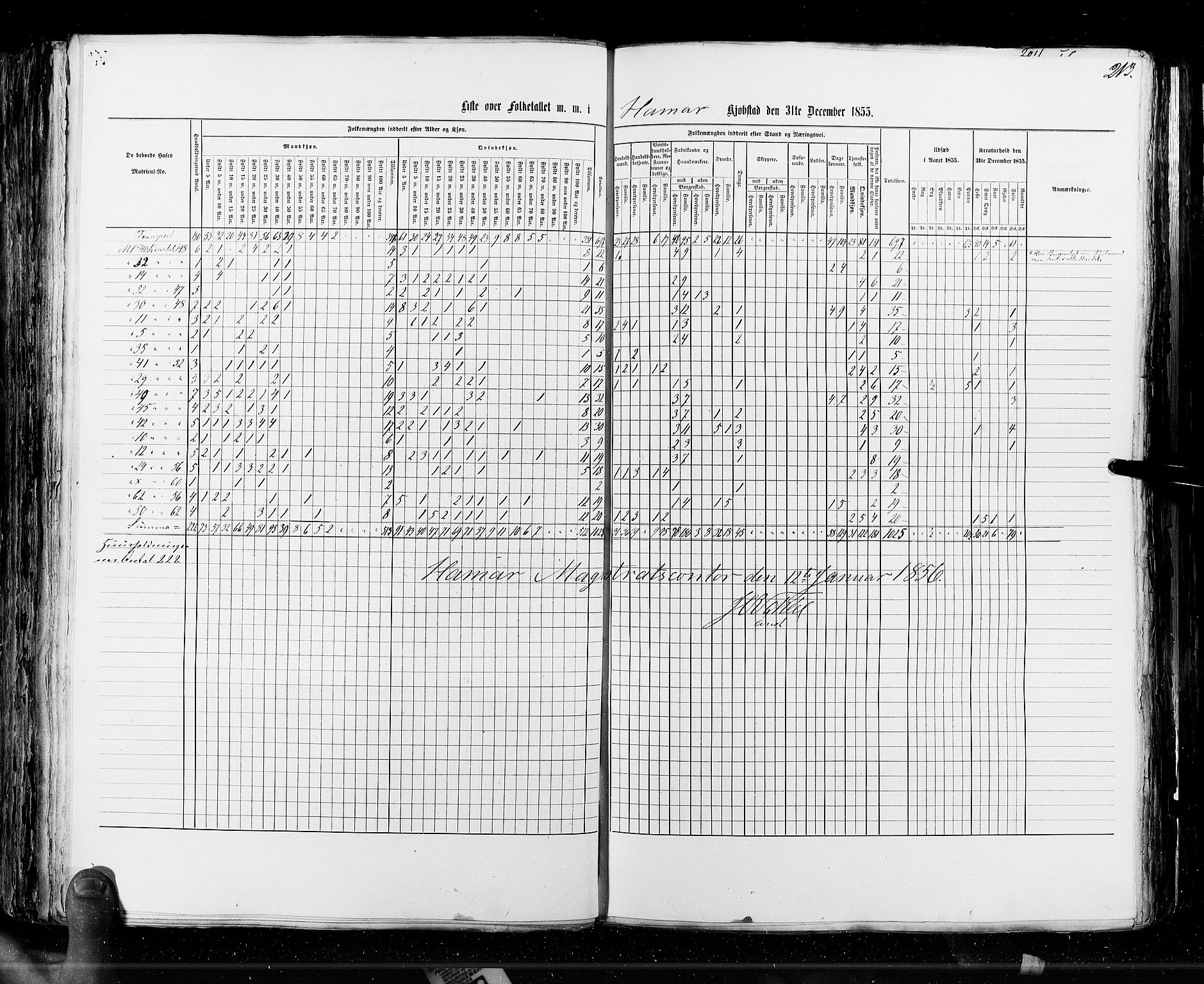 RA, Census 1855, vol. 7: Fredrikshald-Kragerø, 1855, p. 213