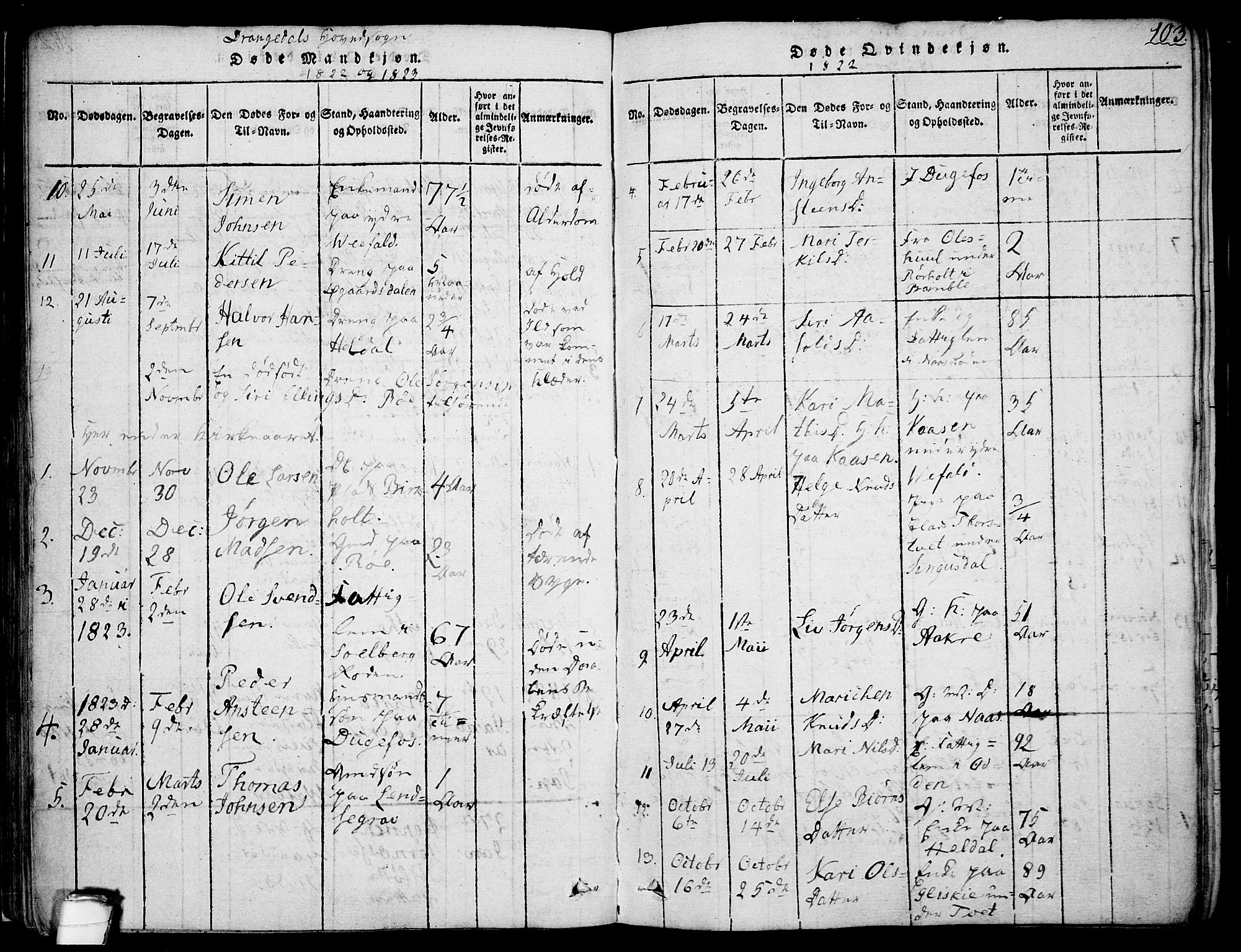 Drangedal kirkebøker, AV/SAKO-A-258/F/Fa/L0005: Parish register (official) no. 5 /1, 1814-1831, p. 103