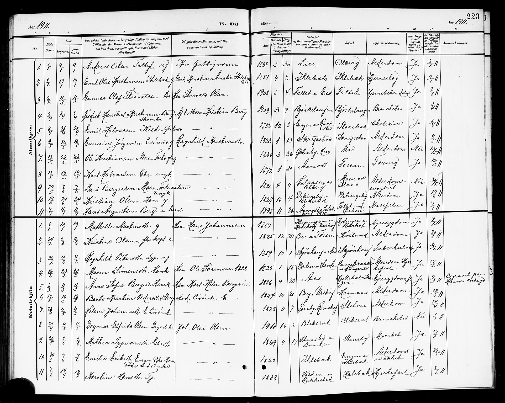 Høland prestekontor Kirkebøker, SAO/A-10346a/G/Ga/L0007: Parish register (copy) no. I 7, 1902-1914, p. 223