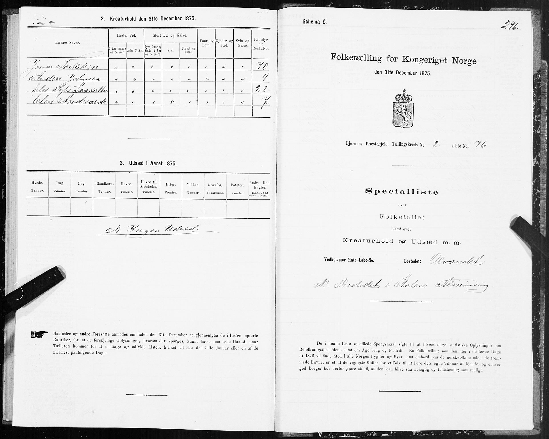 SAT, 1875 census for 1632P Bjørnør, 1875, p. 1296