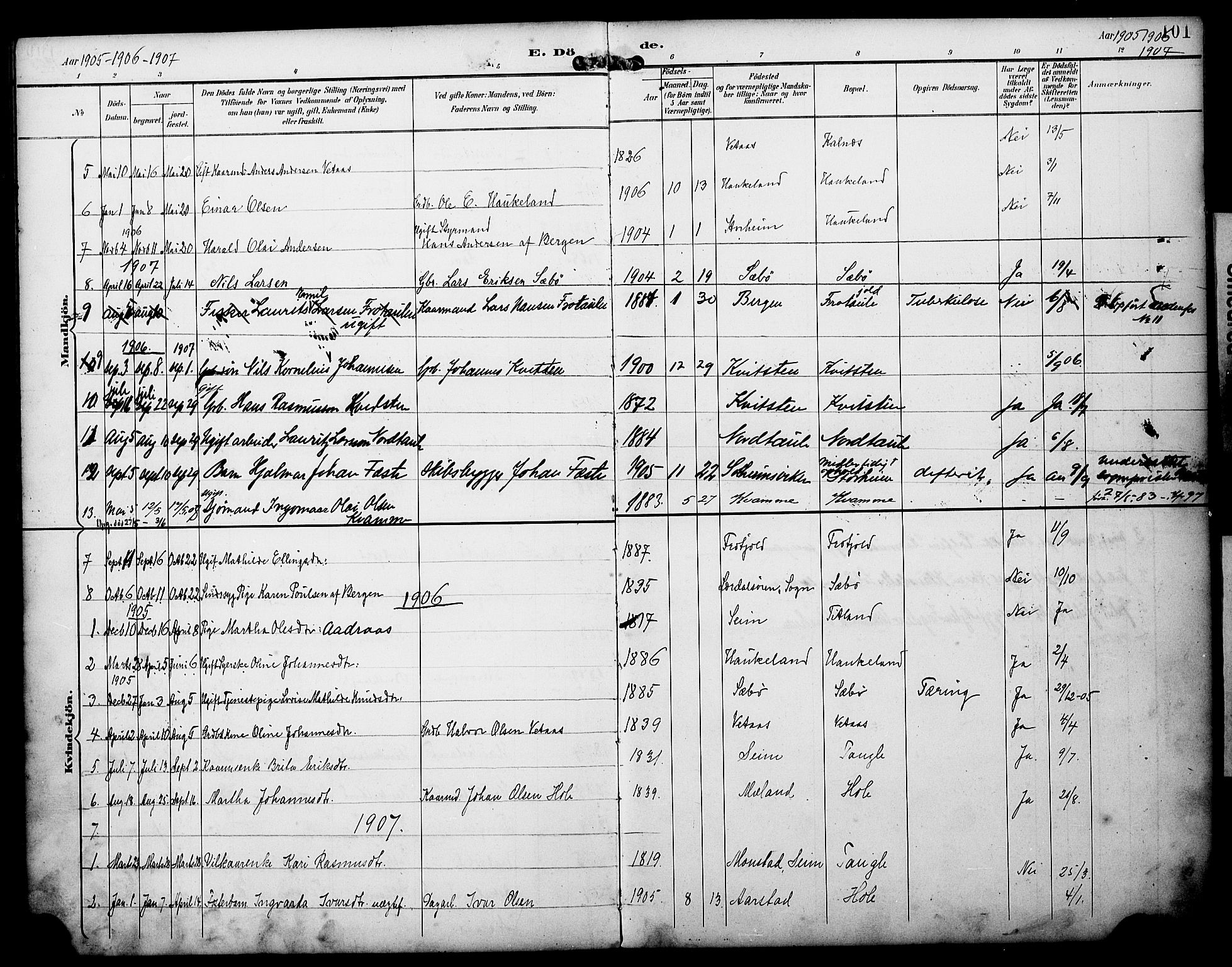 Manger sokneprestembete, AV/SAB-A-76801/H/Haa: Parish register (official) no. D 2, 1894-1908, p. 101