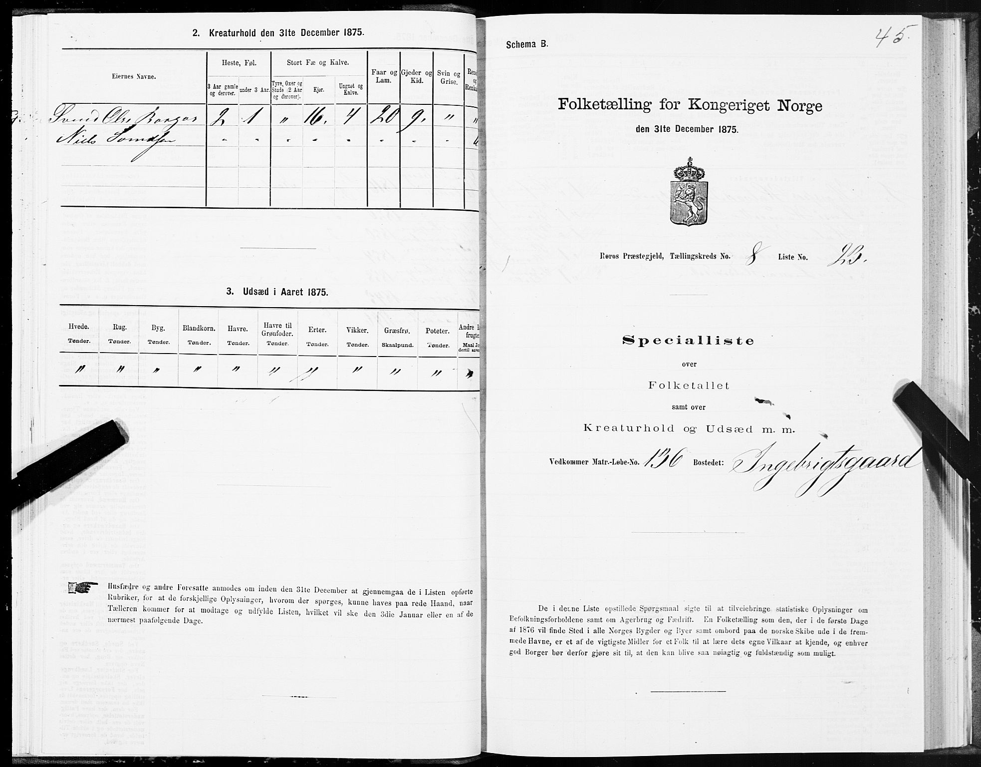 SAT, 1875 census for 1640P Røros, 1875, p. 5045