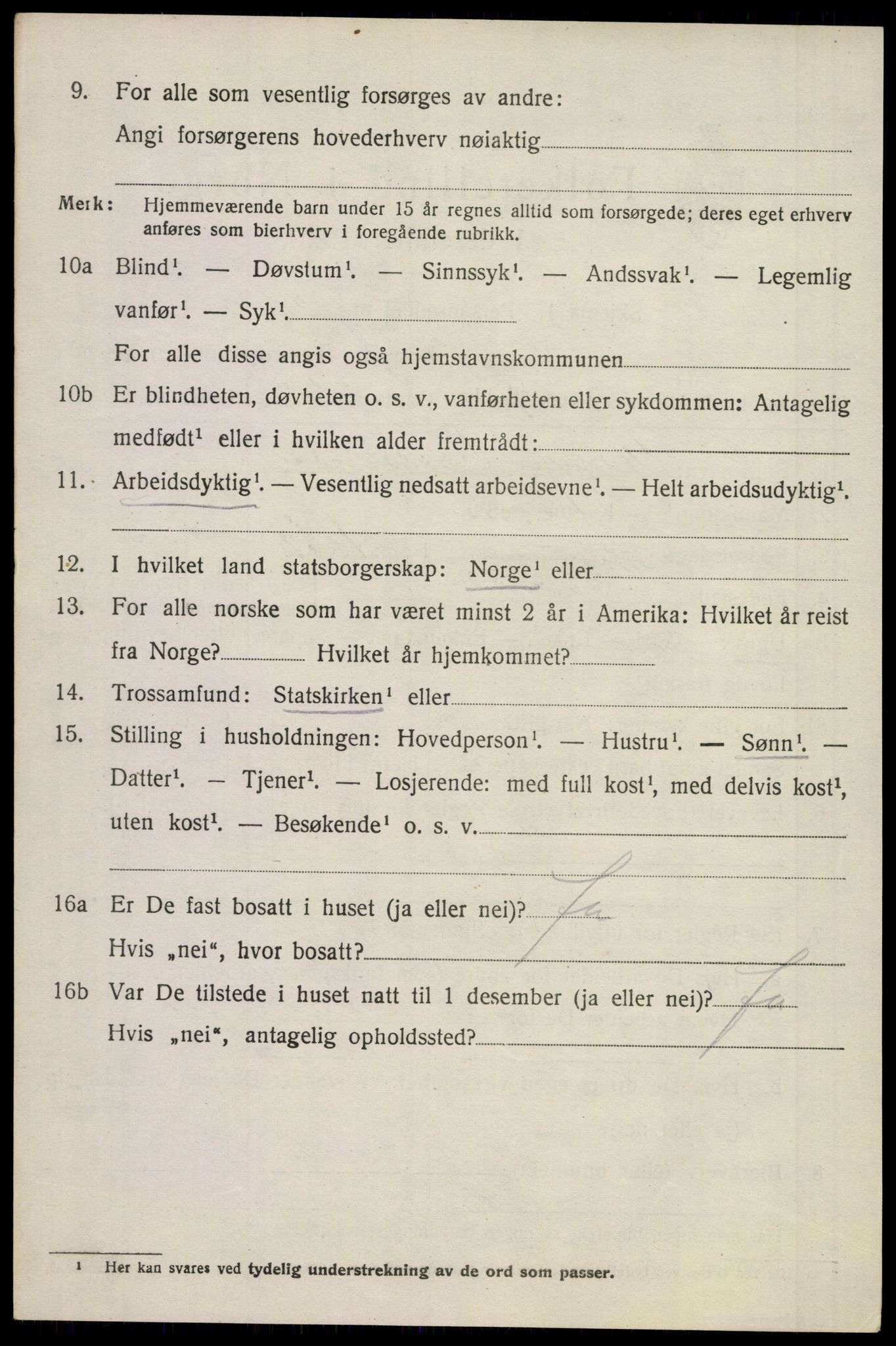 SAKO, 1920 census for Borre, 1920, p. 7117