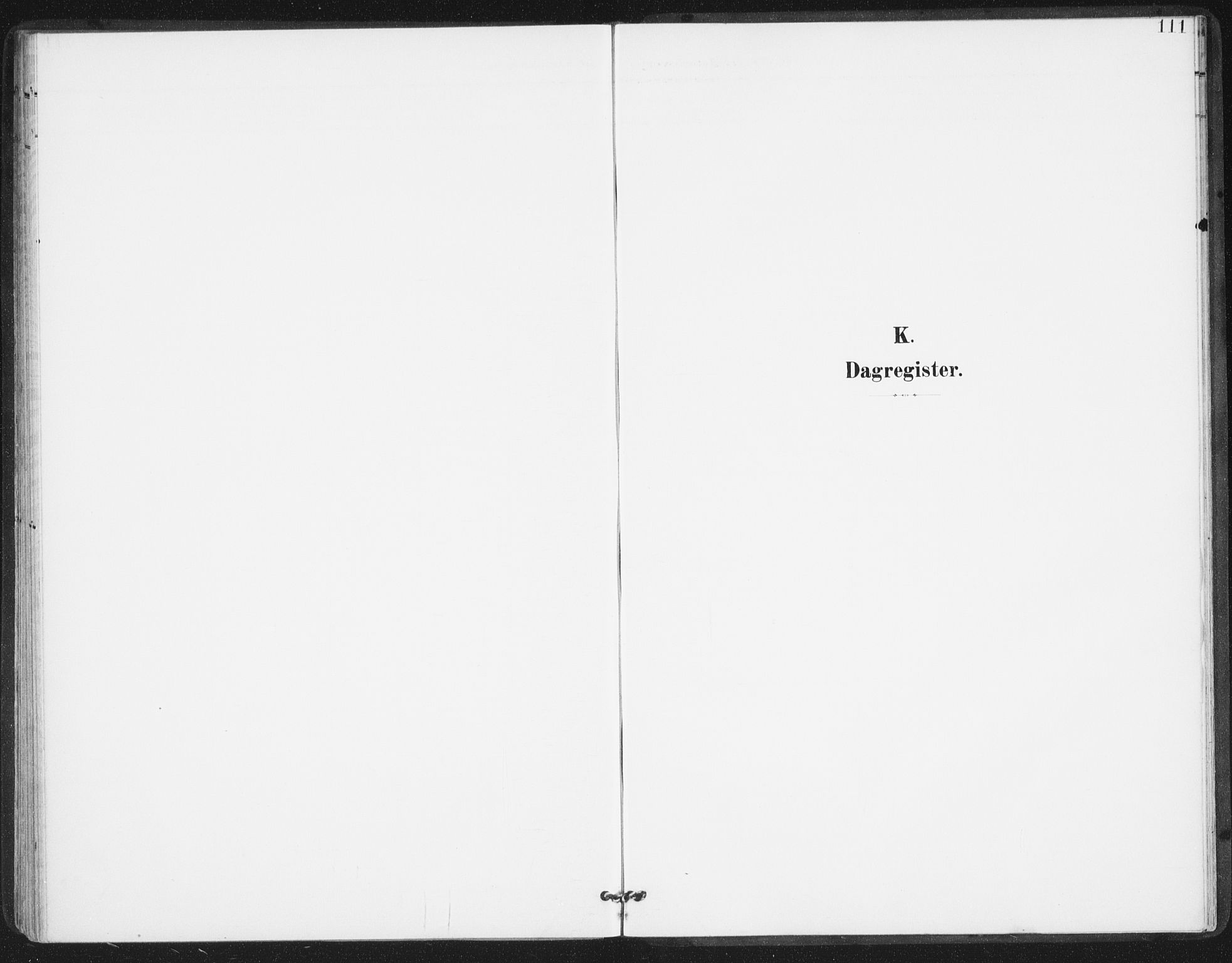 Ministerialprotokoller, klokkerbøker og fødselsregistre - Nordland, SAT/A-1459/811/L0167: Parish register (official) no. 811A04, 1899-1913, p. 111