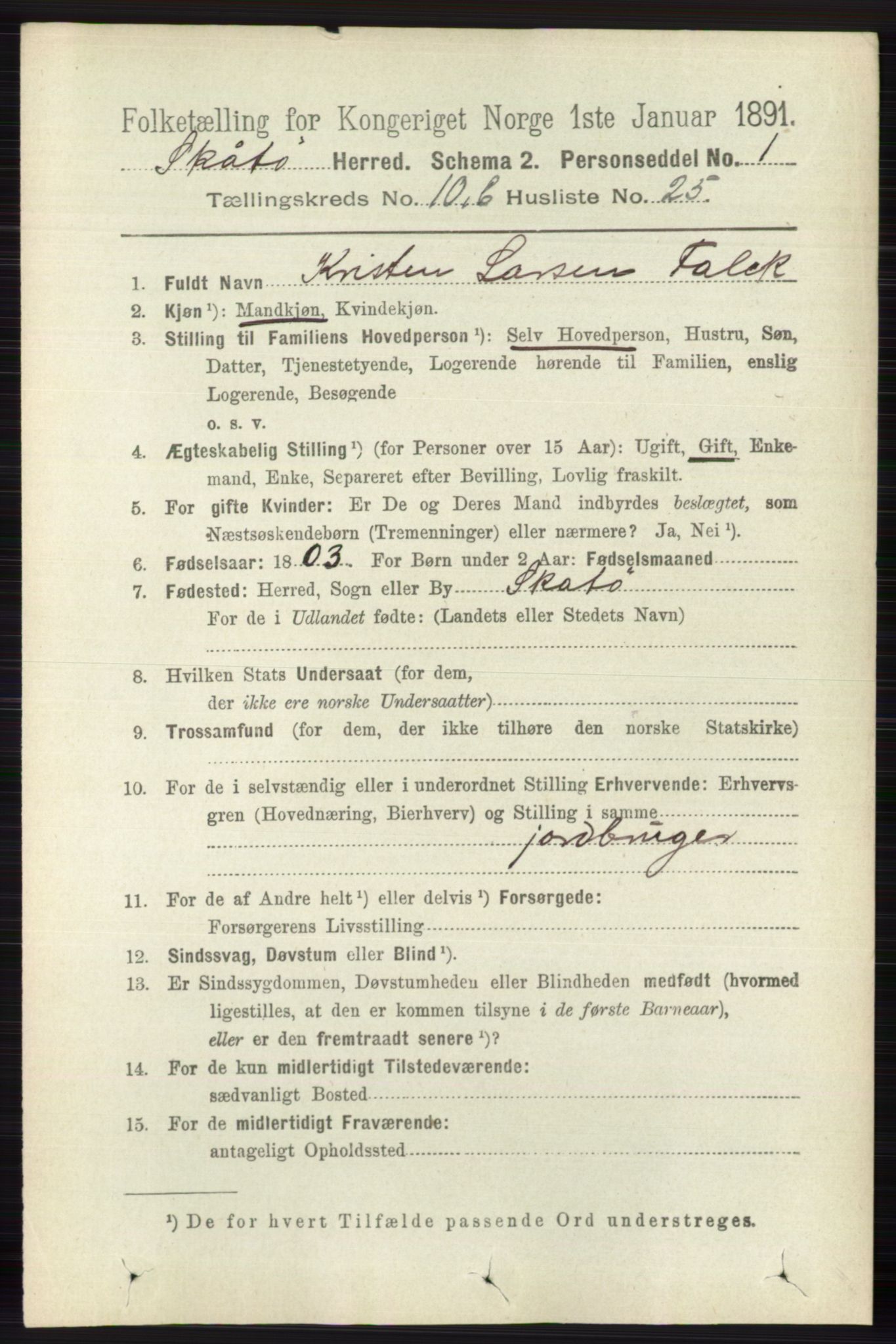 RA, 1891 census for 0815 Skåtøy, 1891, p. 4189