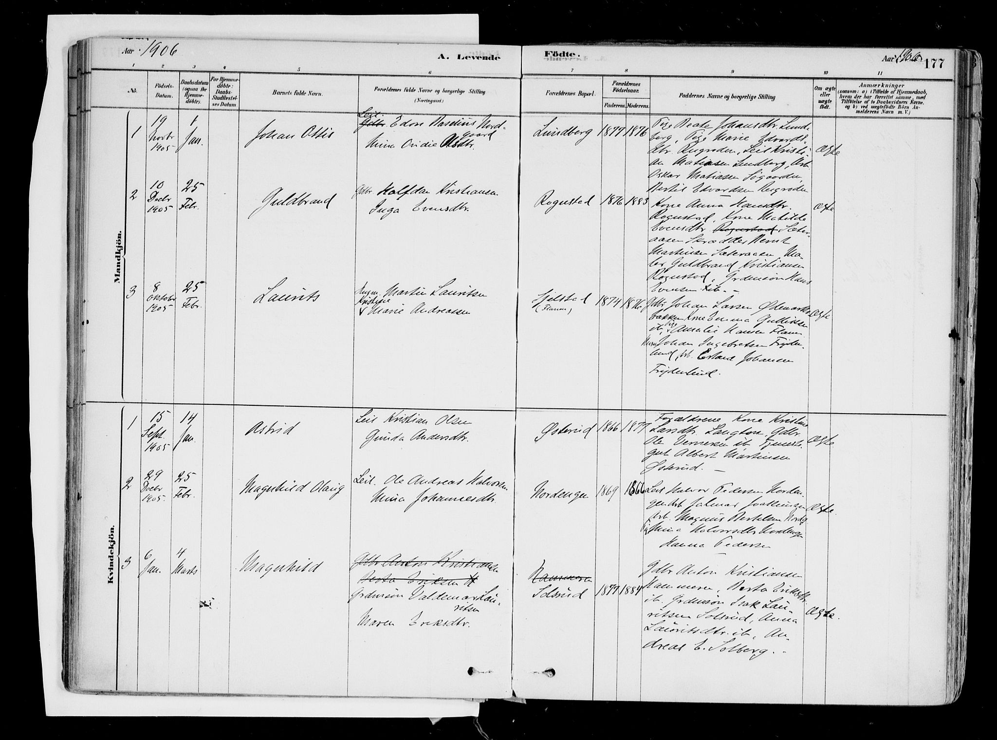 Hurdal prestekontor Kirkebøker, AV/SAO-A-10889/F/Fa/L0007: Parish register (official) no. I 7, 1878-1906, p. 177