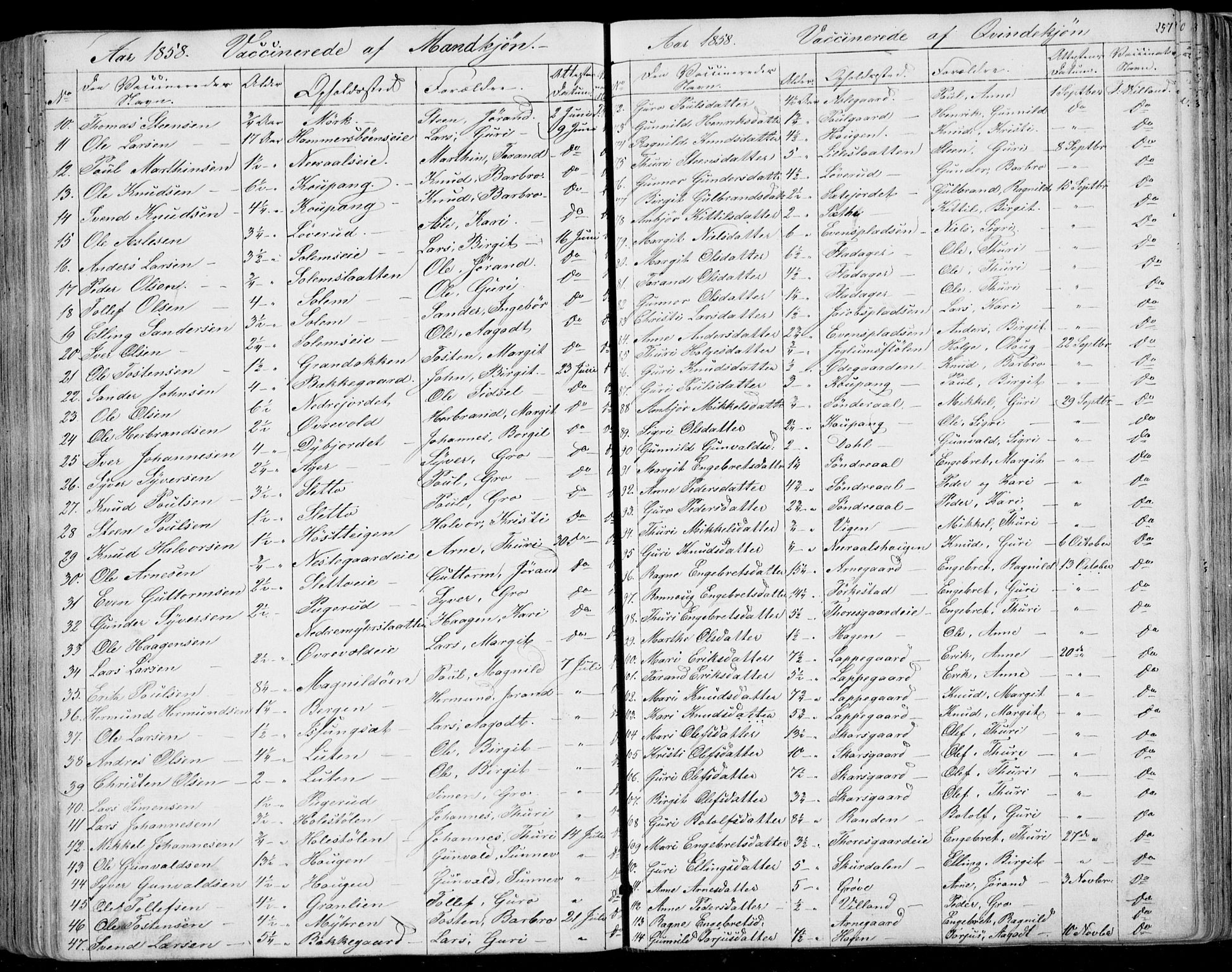 Ål kirkebøker, SAKO/A-249/F/Fa/L0006: Parish register (official) no. I 6, 1849-1864, p. 257