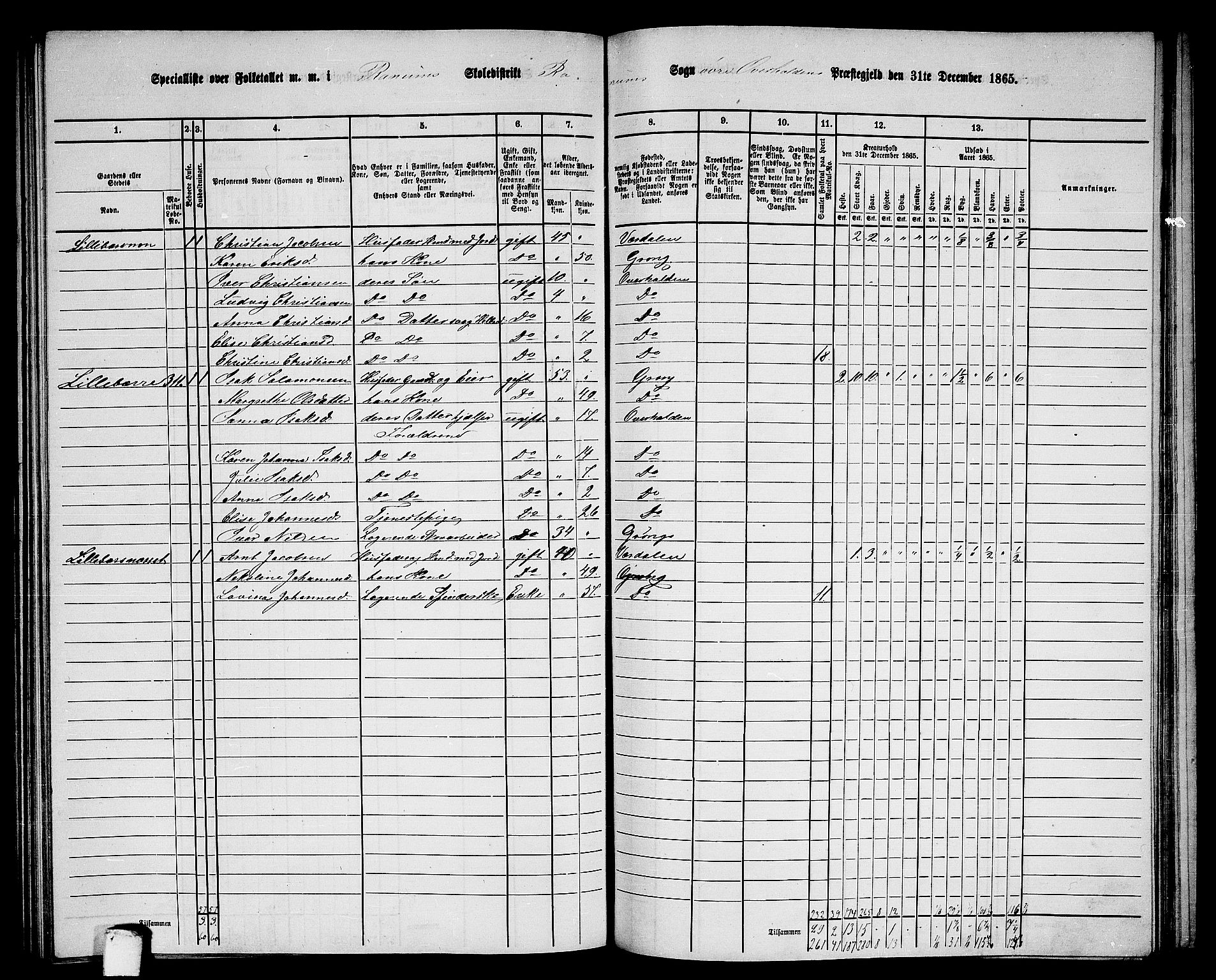 RA, 1865 census for Overhalla, 1865, p. 55